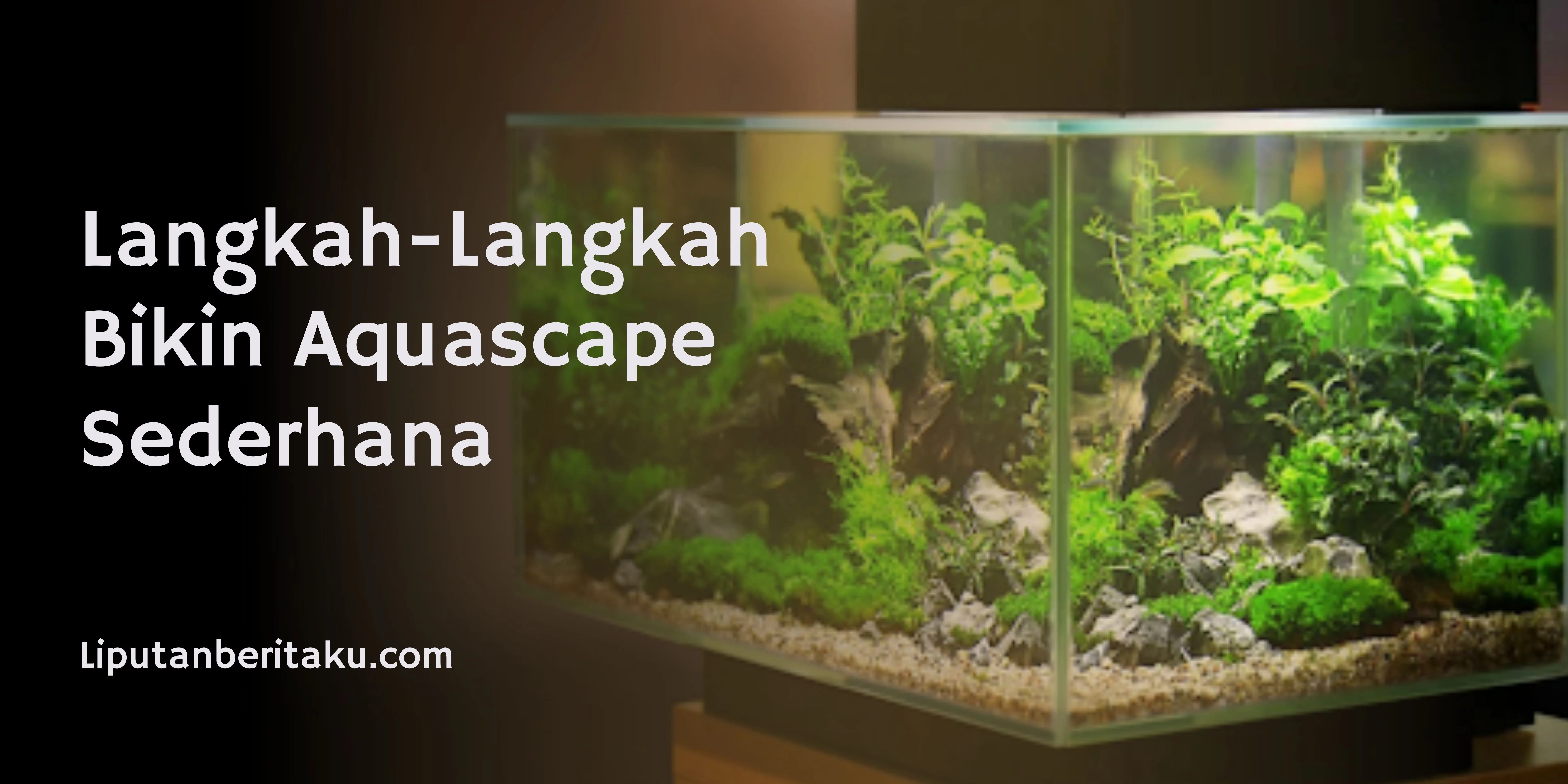 Langkah-Langkah Bikin Aquascape Sederhana