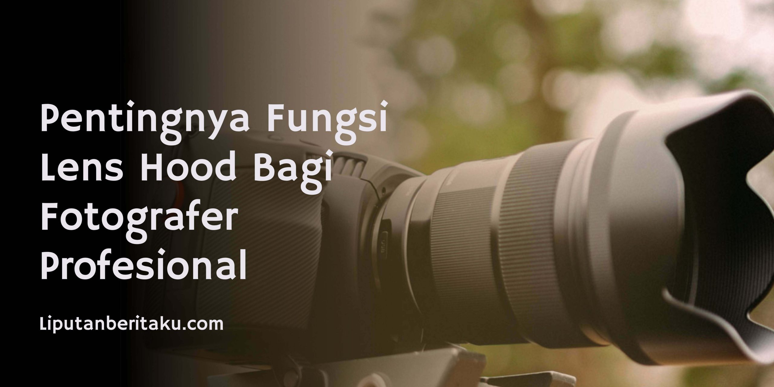 Pentingnya Fungsi Lens Hood Bagi Fotografer Profesional