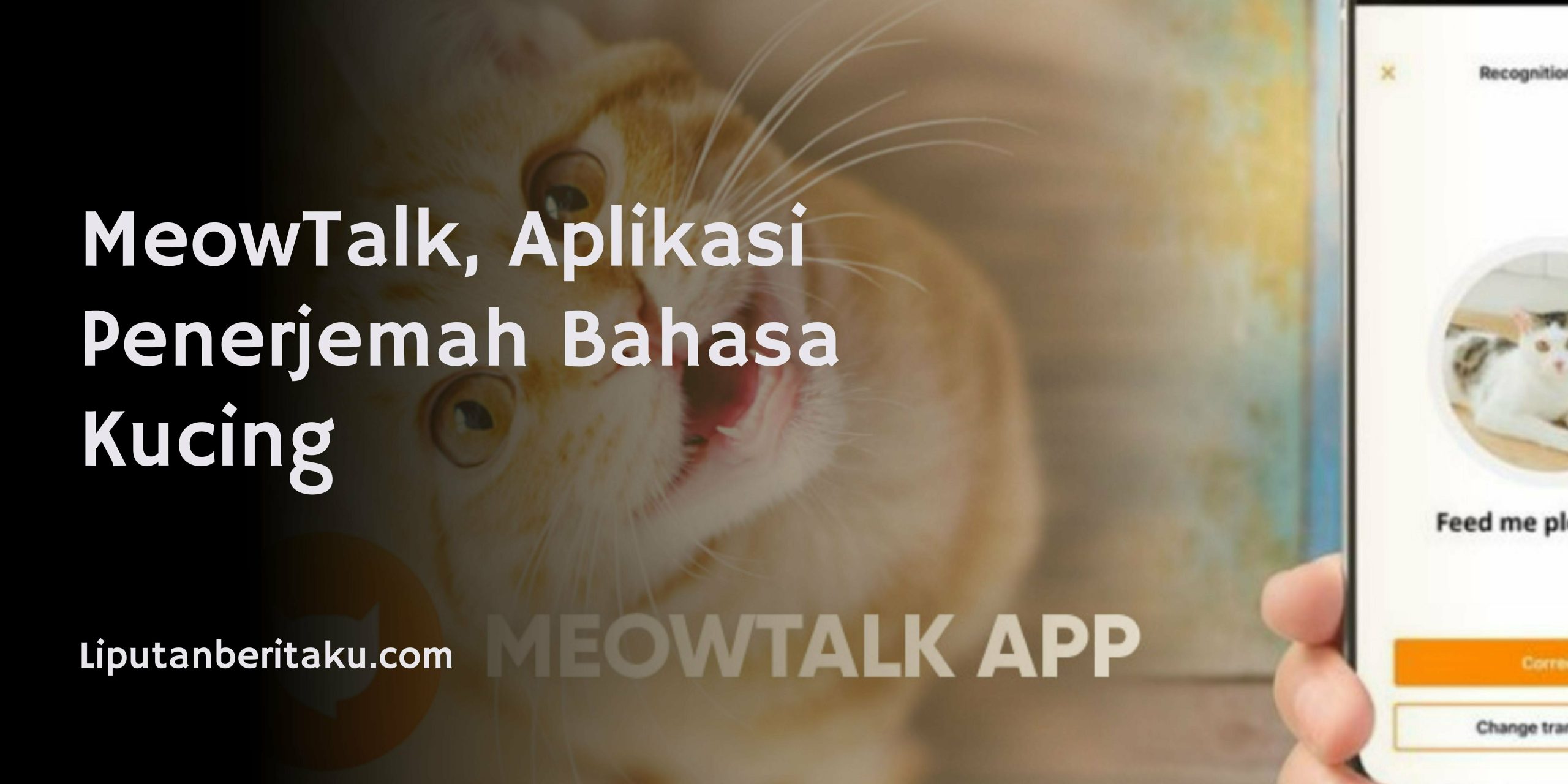MeowTalk Aplikasi Penerjemah Bahasa Kucing