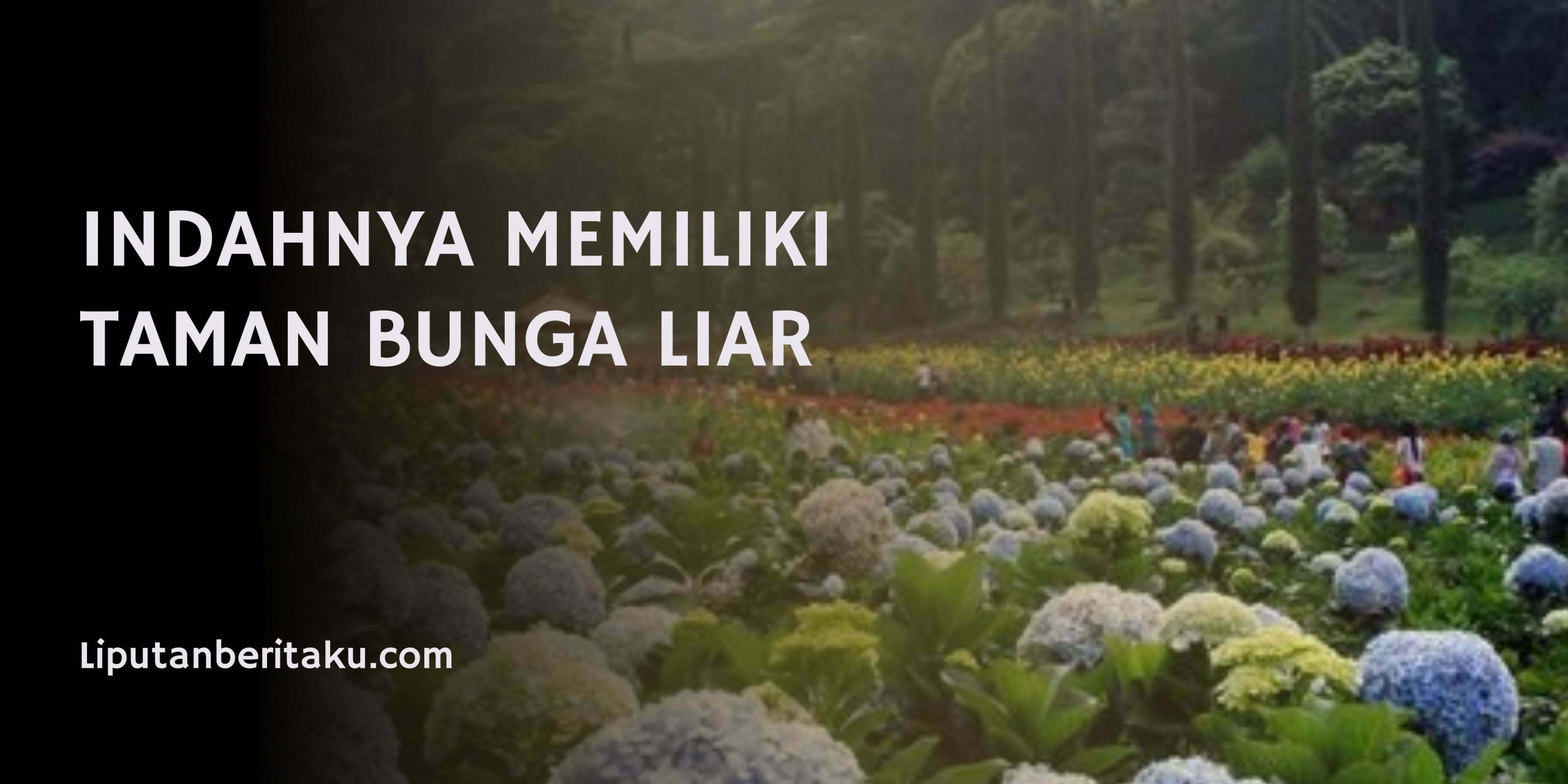 Indahnya Memiliki Taman Bunga Liar