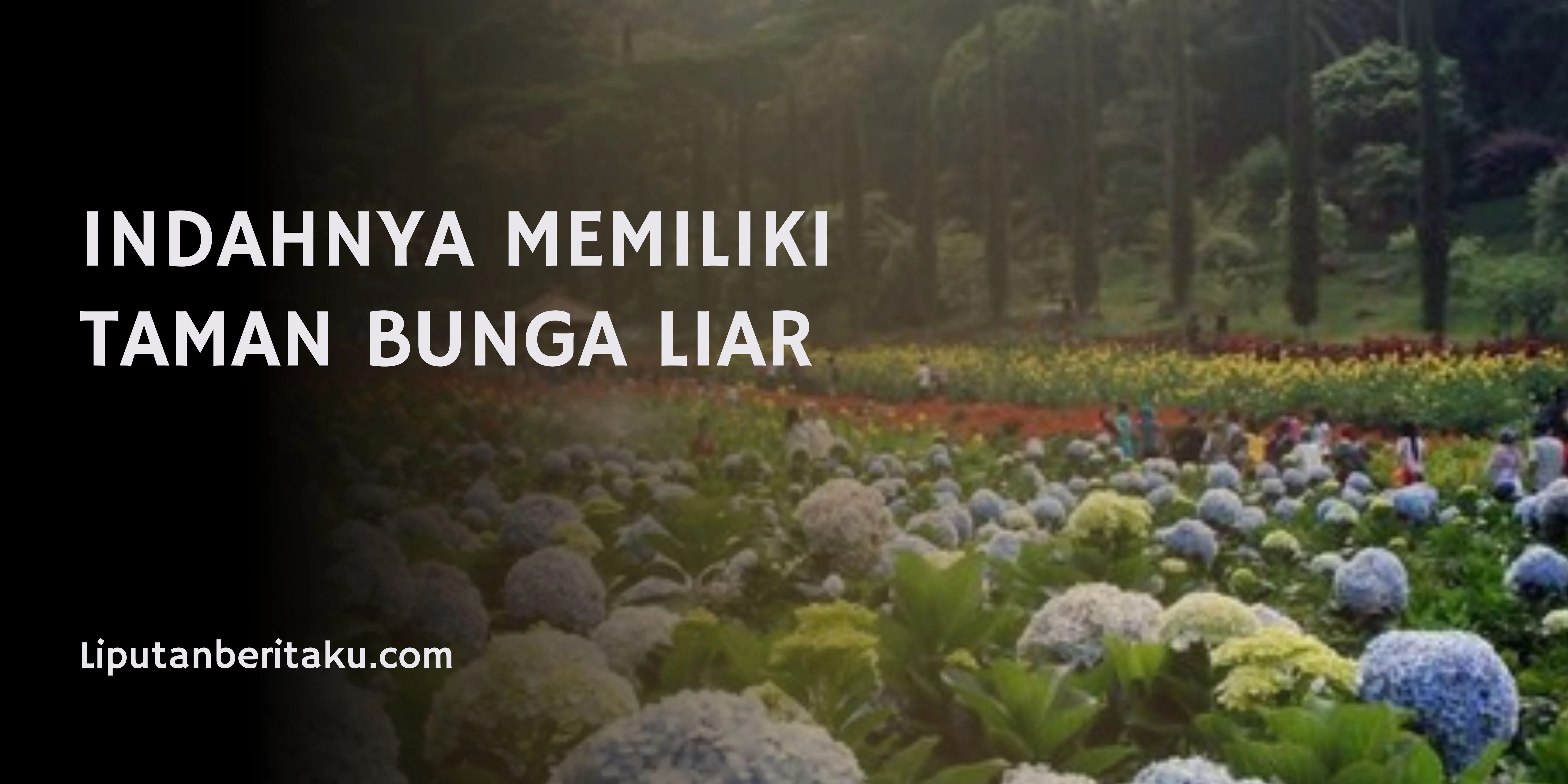 Indahnya Memiliki Taman Bunga Liar