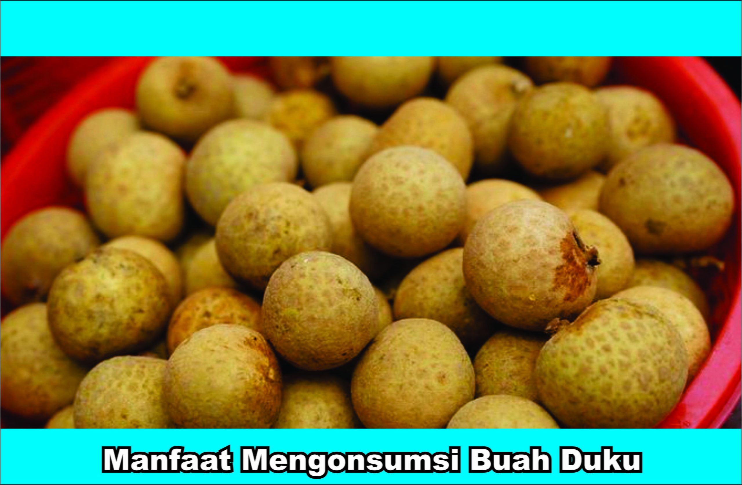 Apa Saja Manfaat Mengonsumsi Buah Duku ? Ini dia
