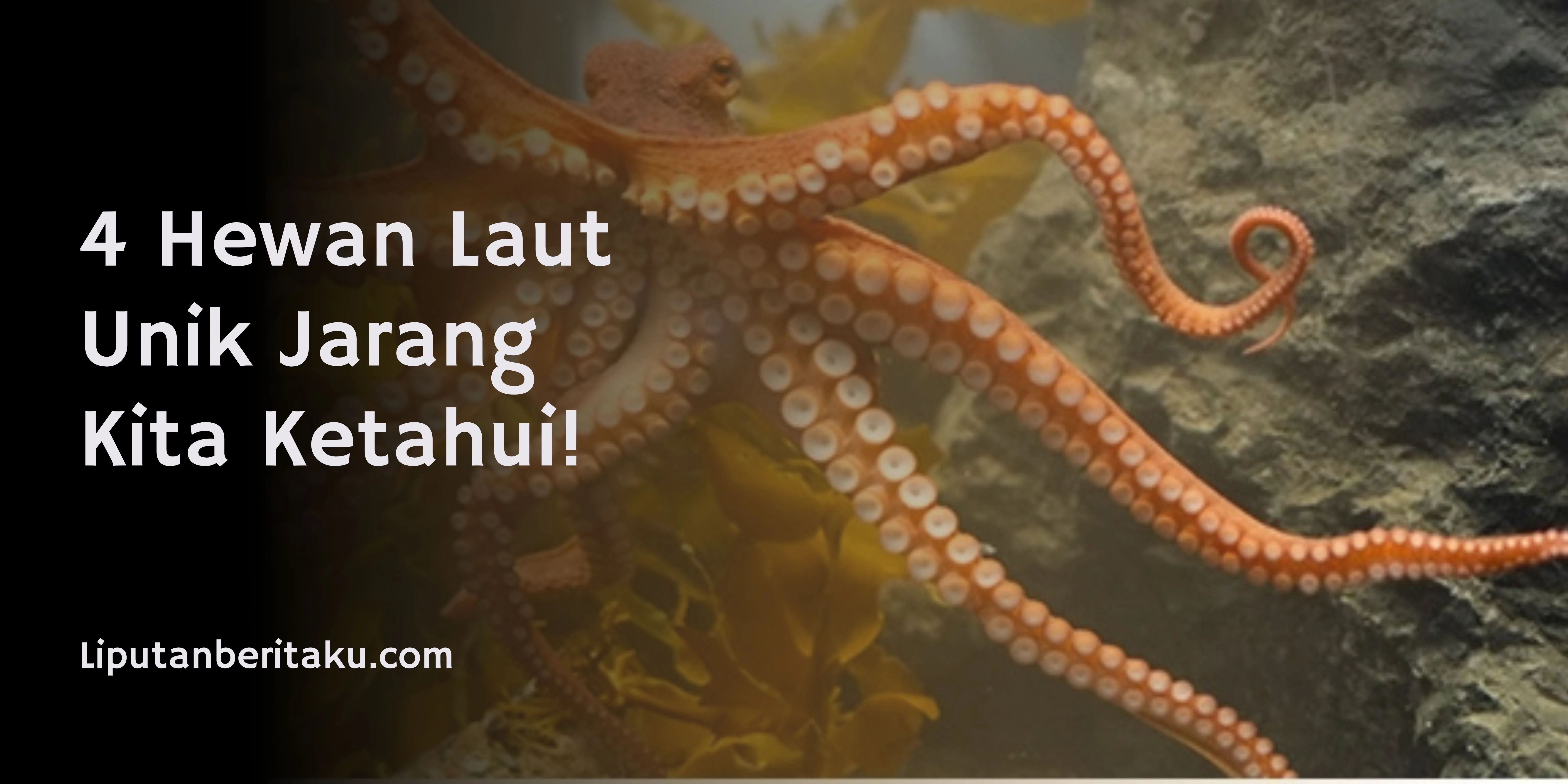 4 Hewan Laut Unik Jarang Kita Ketahui!