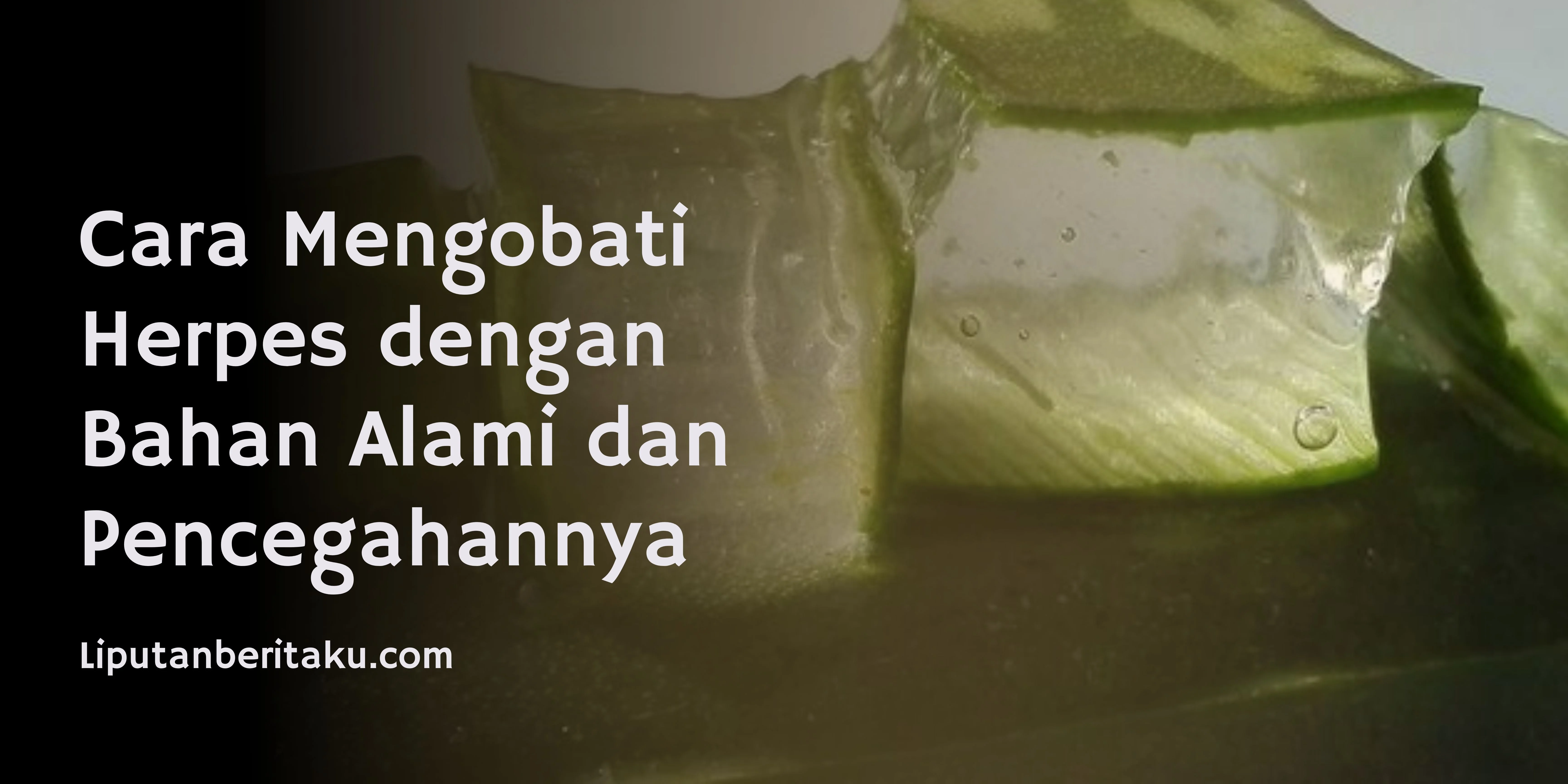 Cara Mengobati Herpes dengan Bahan Alami dan Pencegahannya