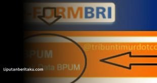 Inilah Link Efrom BRI Co Id BPUM 2021 - BPUM 2,4 juta