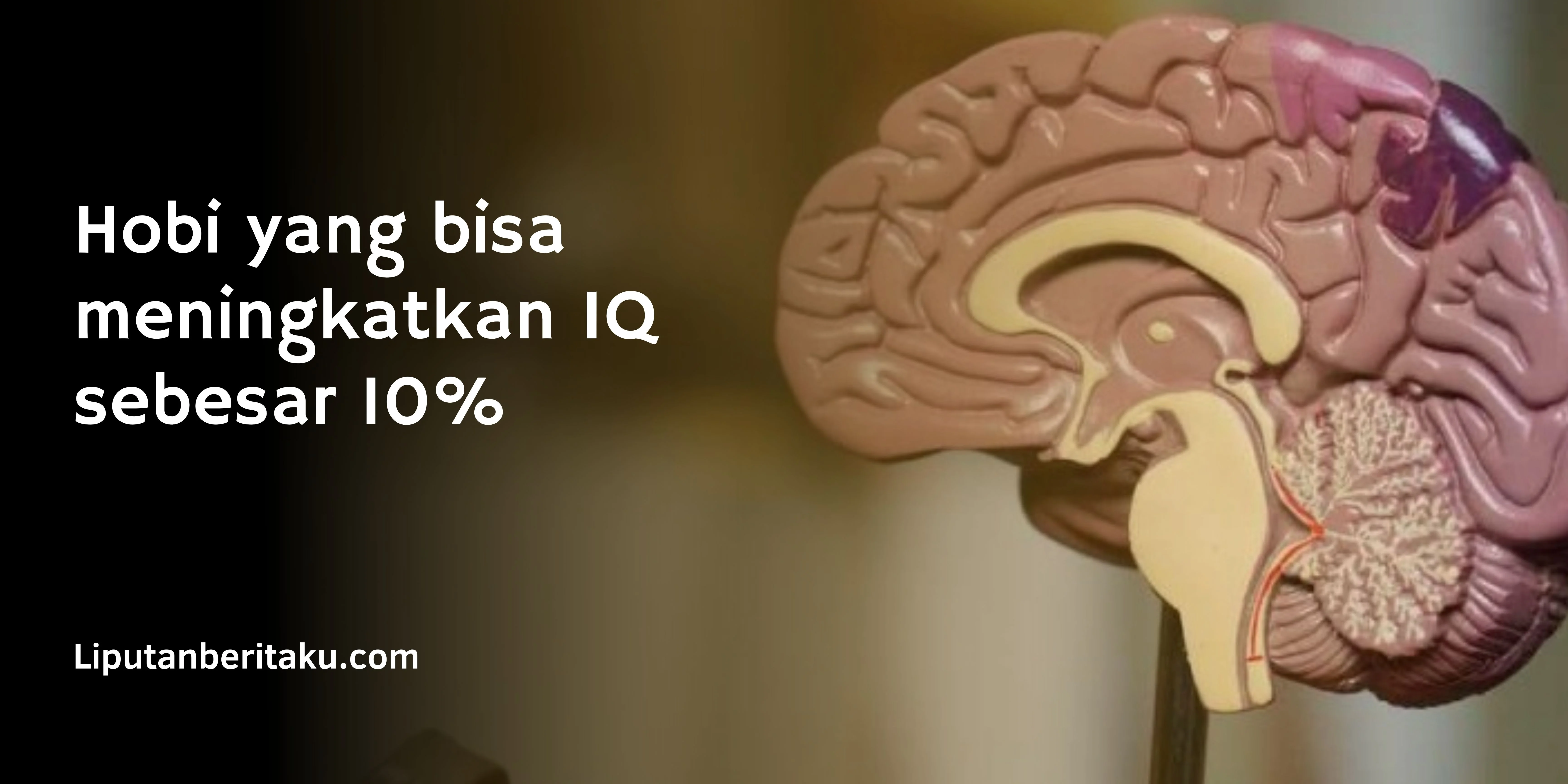 Hobi yang bisa meningkatkan IQ sebesar 10%