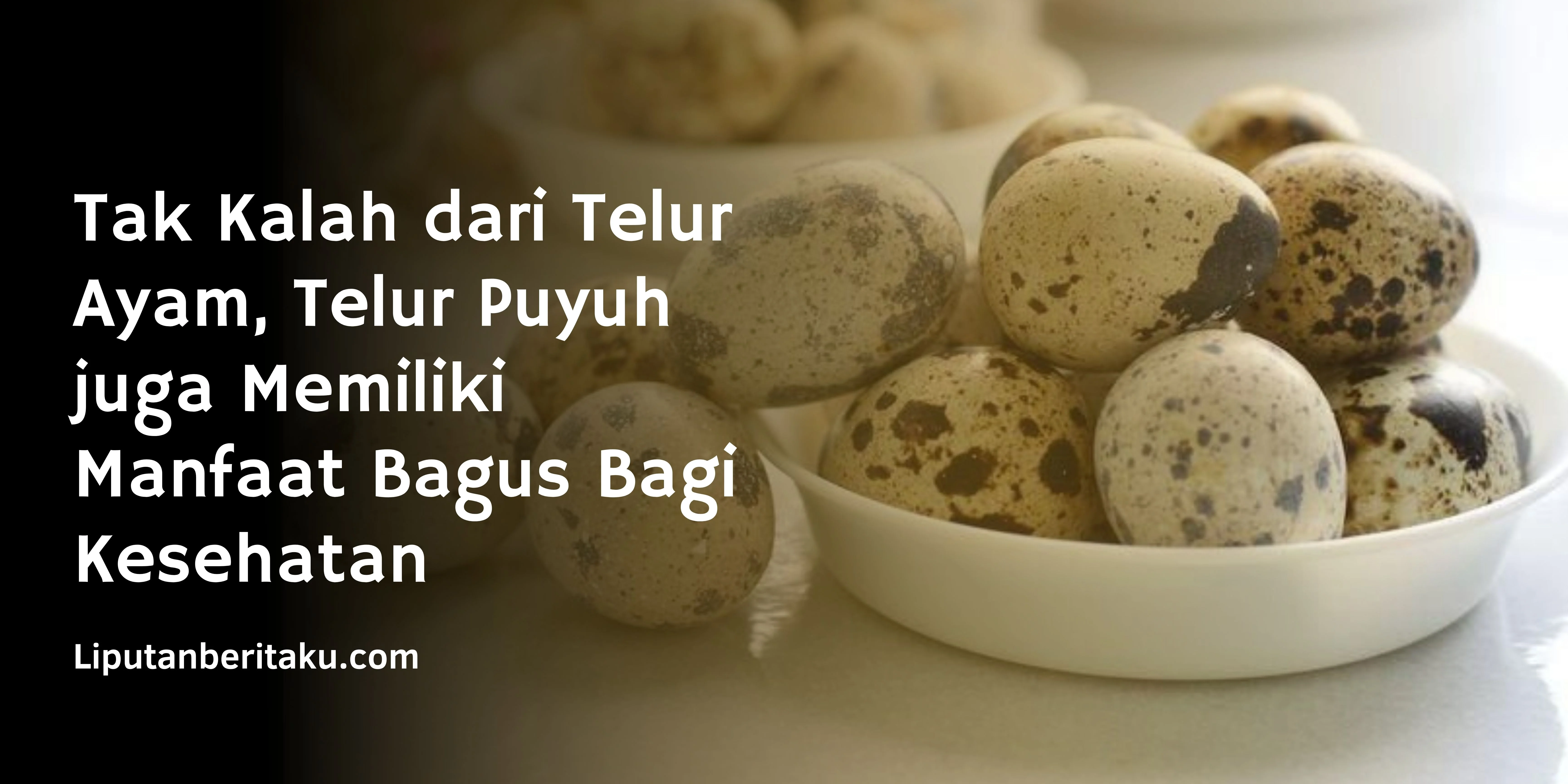 Tak Kalah dari Telur Ayam, Telur Puyuh juga Memiliki Manfaat Bagus Bagi Kesehatan