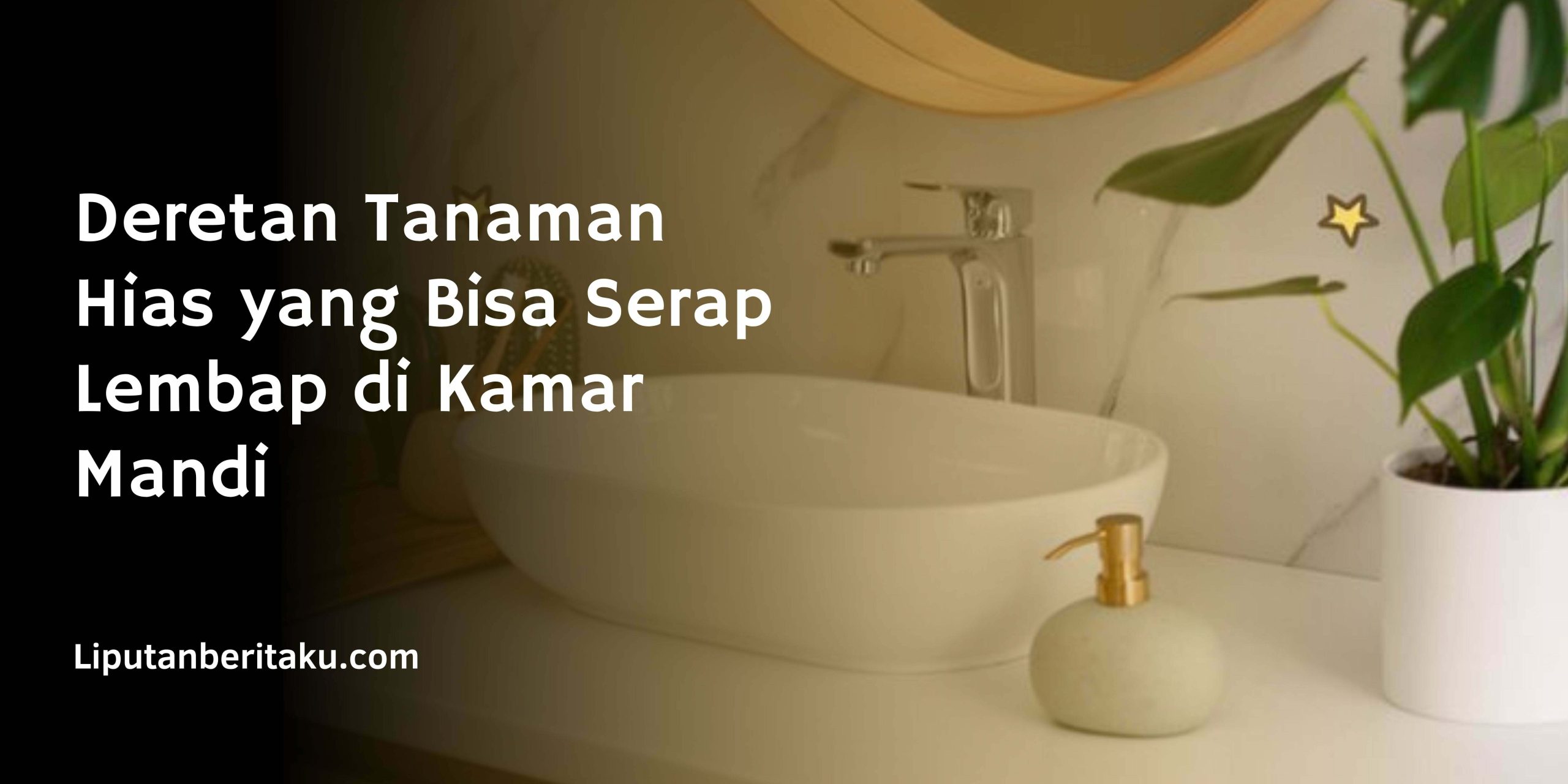 Deretan Tanaman Hias yang Bisa Serap Lembap di Kamar Mandi