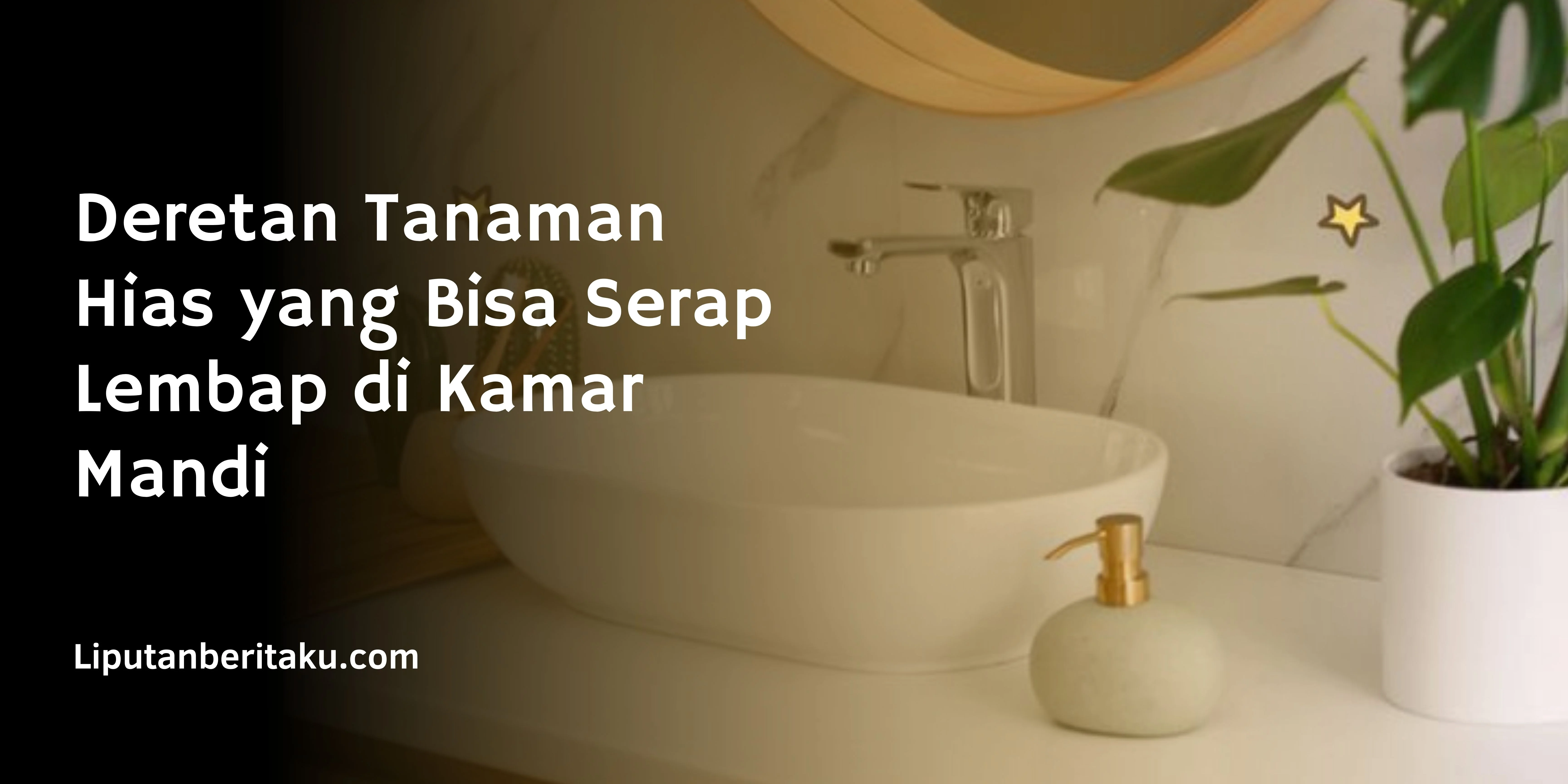 Deretan Tanaman Hias yang Bisa Serap Lembap di Kamar Mandi