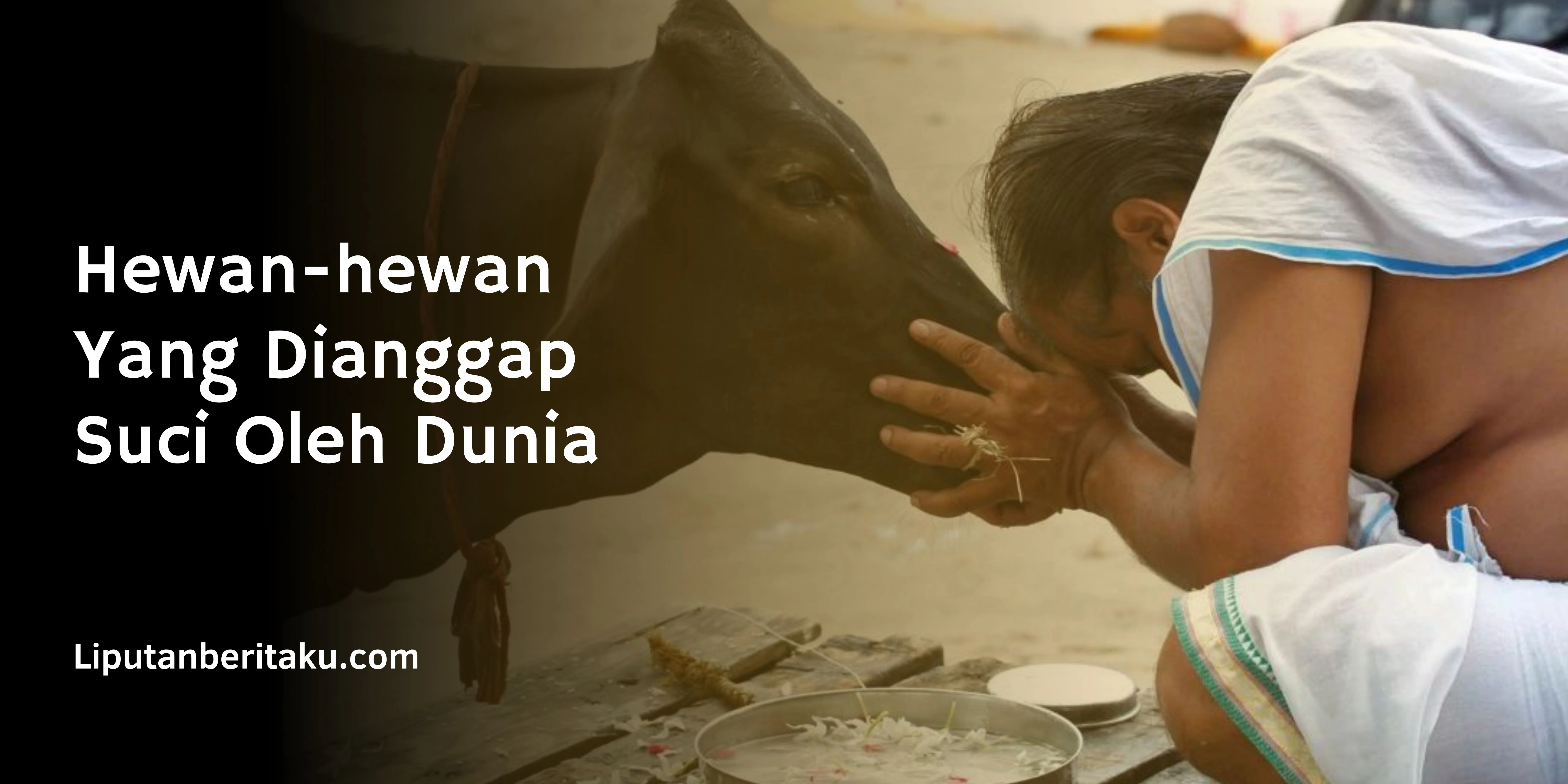 Hewan Yang Dianggap Suci Oleh Dunia
