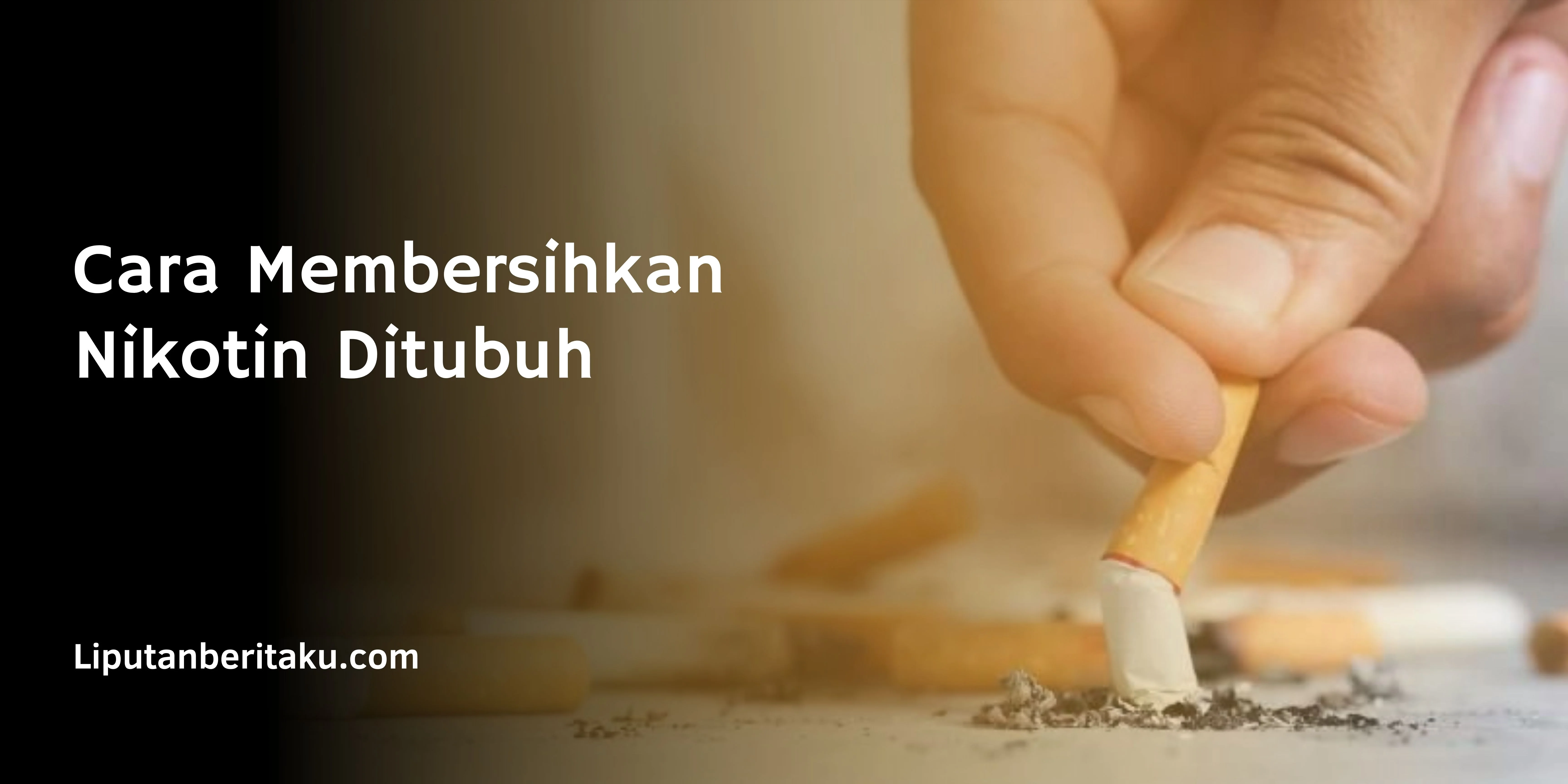 Cara Membersihkan Nikotin Ditubuh 1 Cara Membersihkan Nikotin Ditubuh