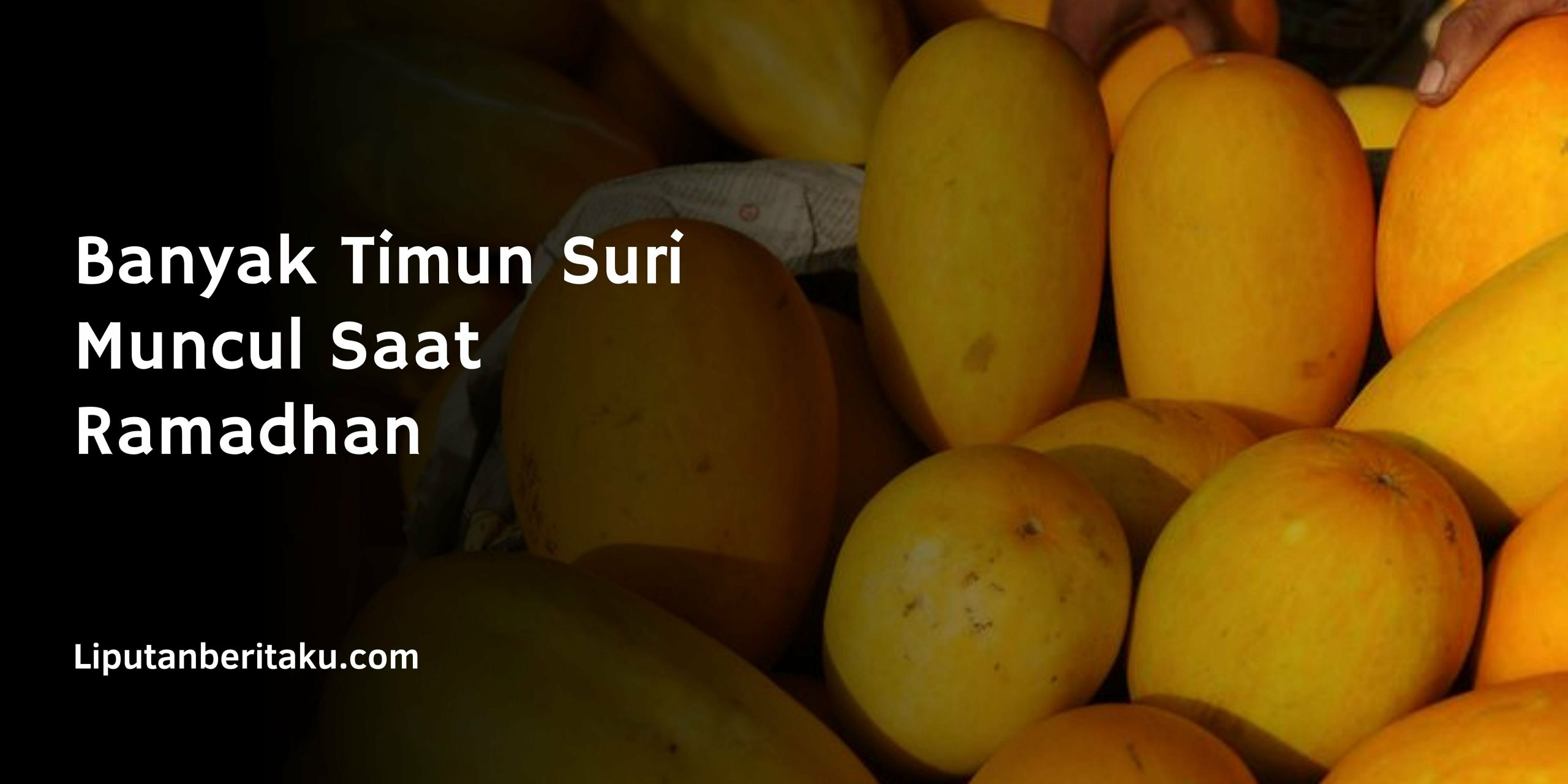 Banyak Timun Suri Muncul Saat Ramadhan