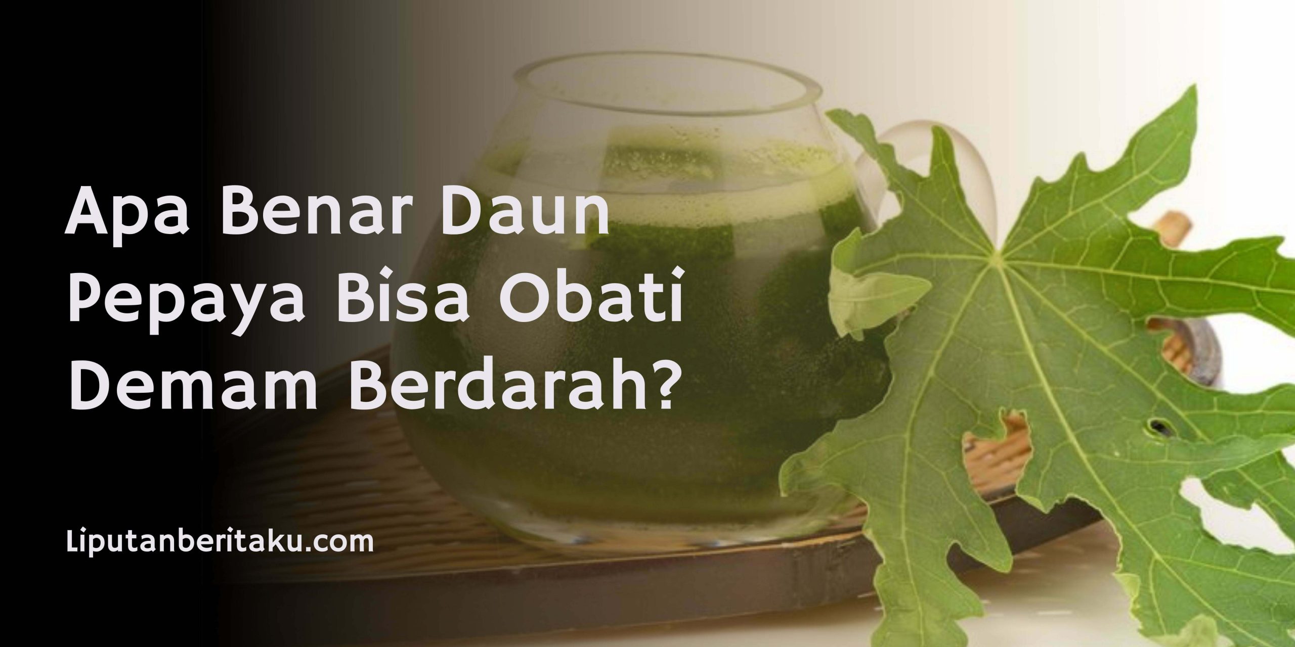 Apa Benar Daun Pepaya Bisa Obati Demam Berdarah?