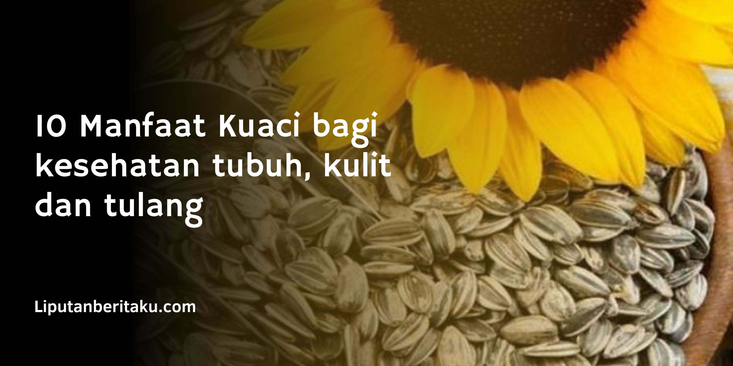 10 Manfaat Kuaci bagi  kesehatan tubuh, kulit dan tulang