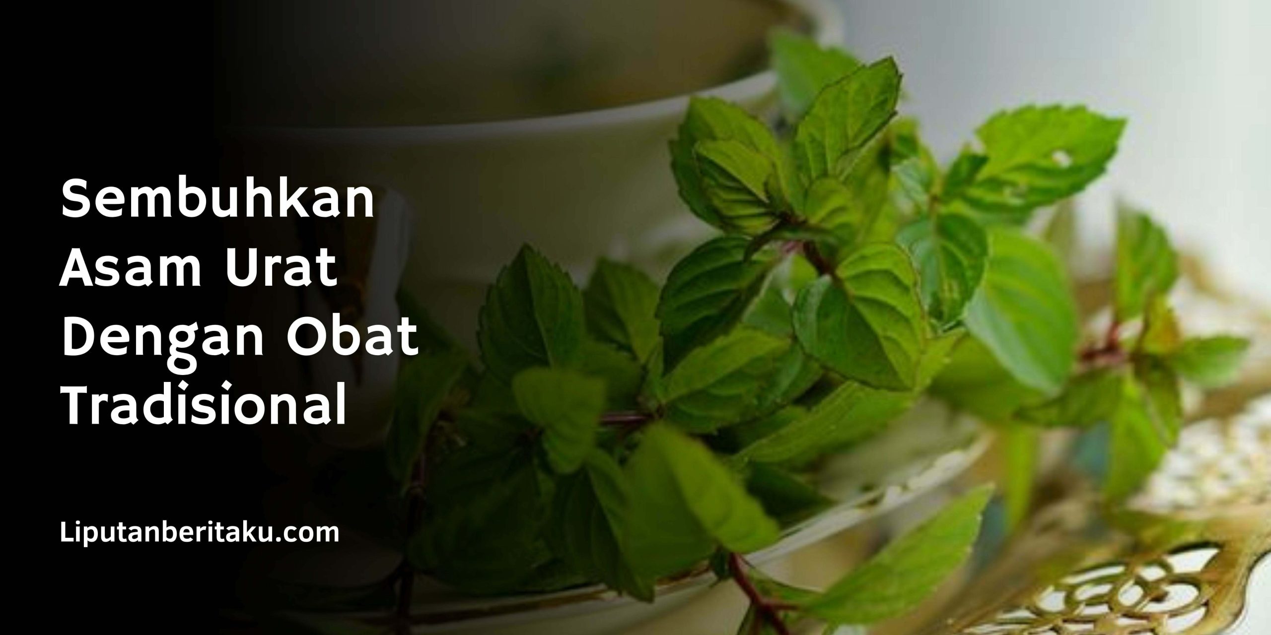 Sembuhkan Asam Urat Dengan Obat Tradisional