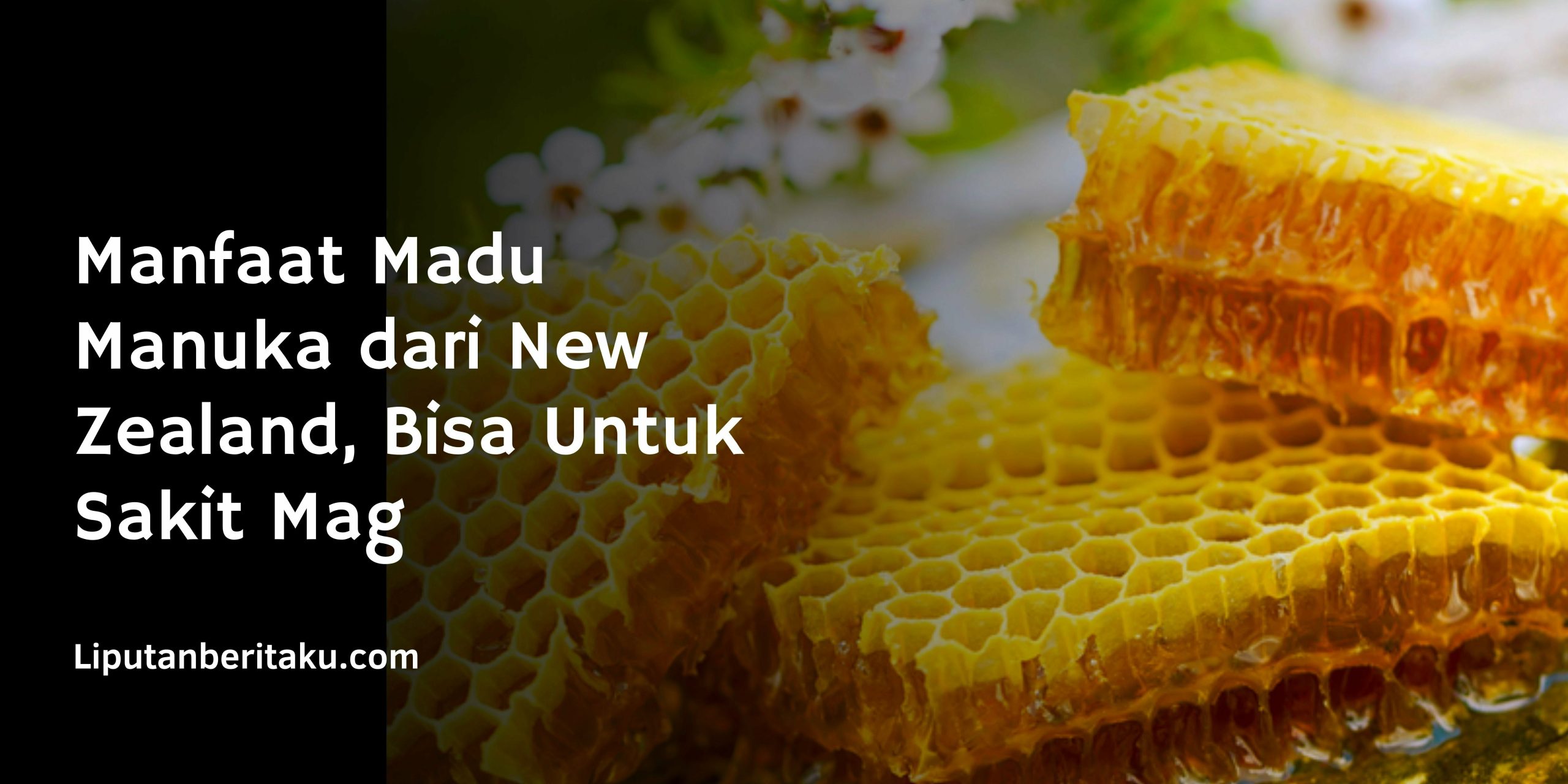 Manfaat Madu Manuka dari New Zealand, Bisa Untuk Sakit Mag Manfaat Madu Manuka dari New Zealand, Bisa Untuk Sakit Mag