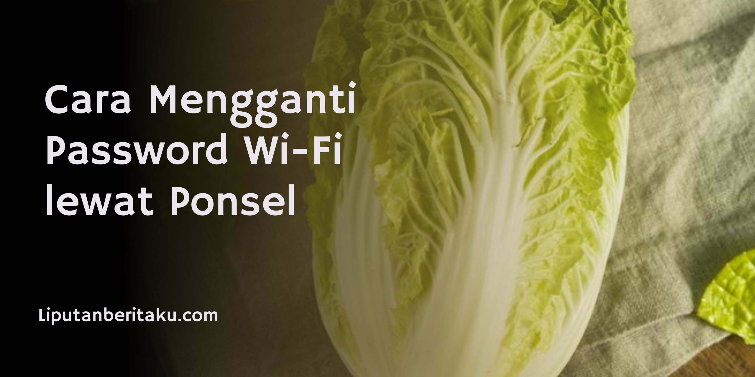 Tips Simpan Sawi Putih Agar Tetap Segar