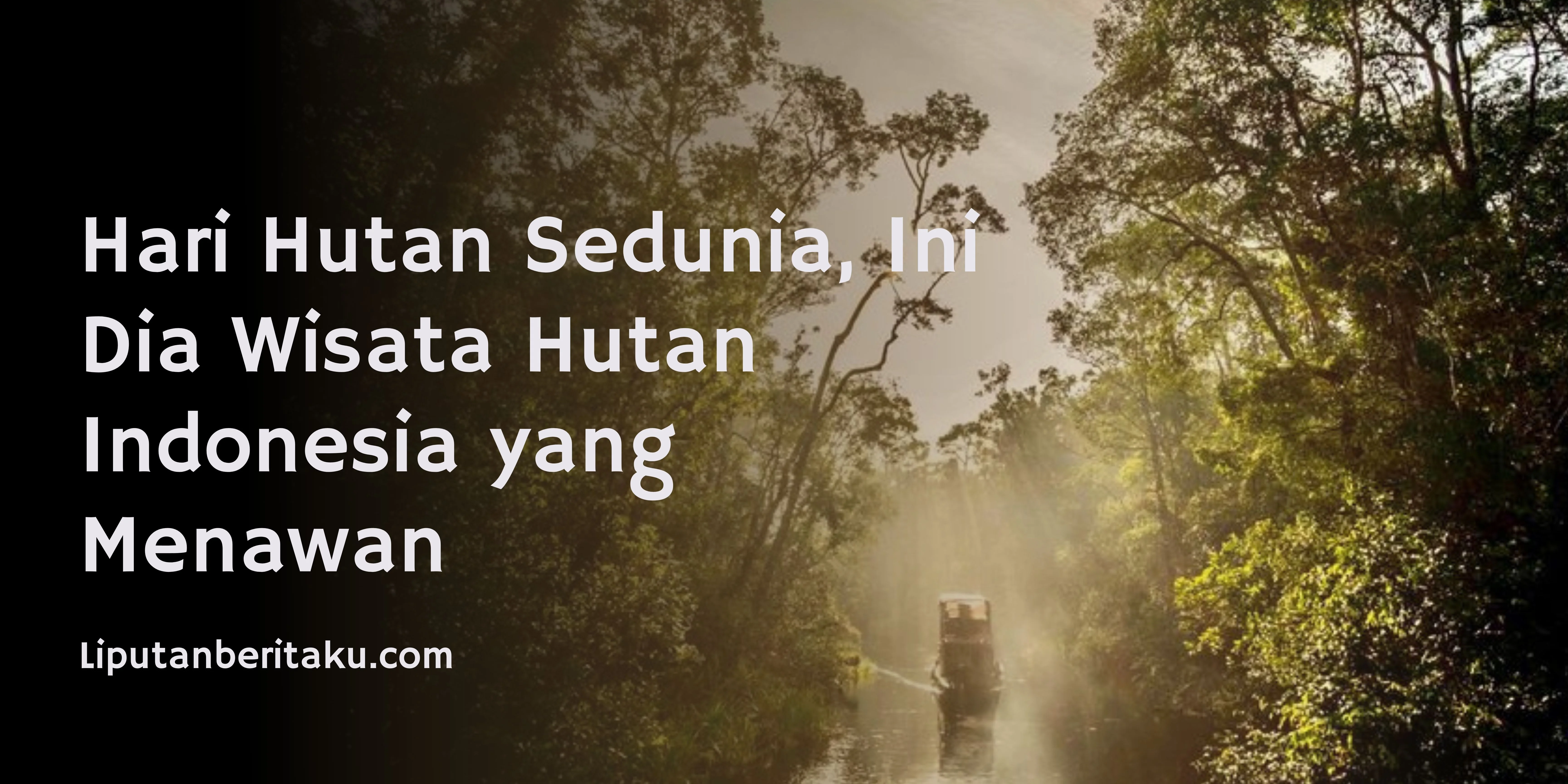 Hari Hutan Sedunia, Ini Dia Wisata Hutan Indonesia yang Menawan