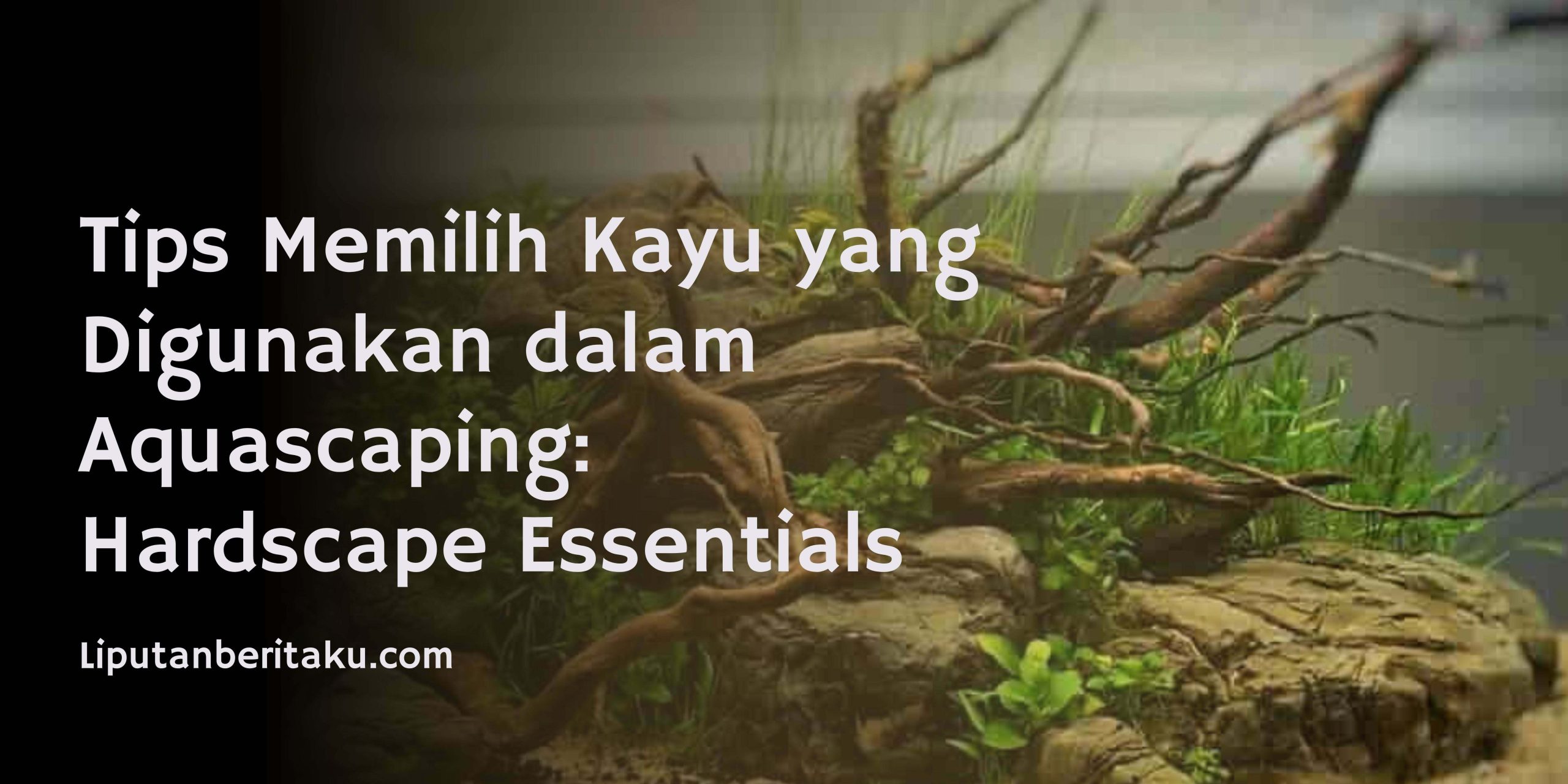 Tips Memilih Kayu yang Digunakan dalam Aquascaping: Hardscape Essentials