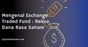 Mengenal Exchange Traded Fund : Reksa Dana Rasa Saham