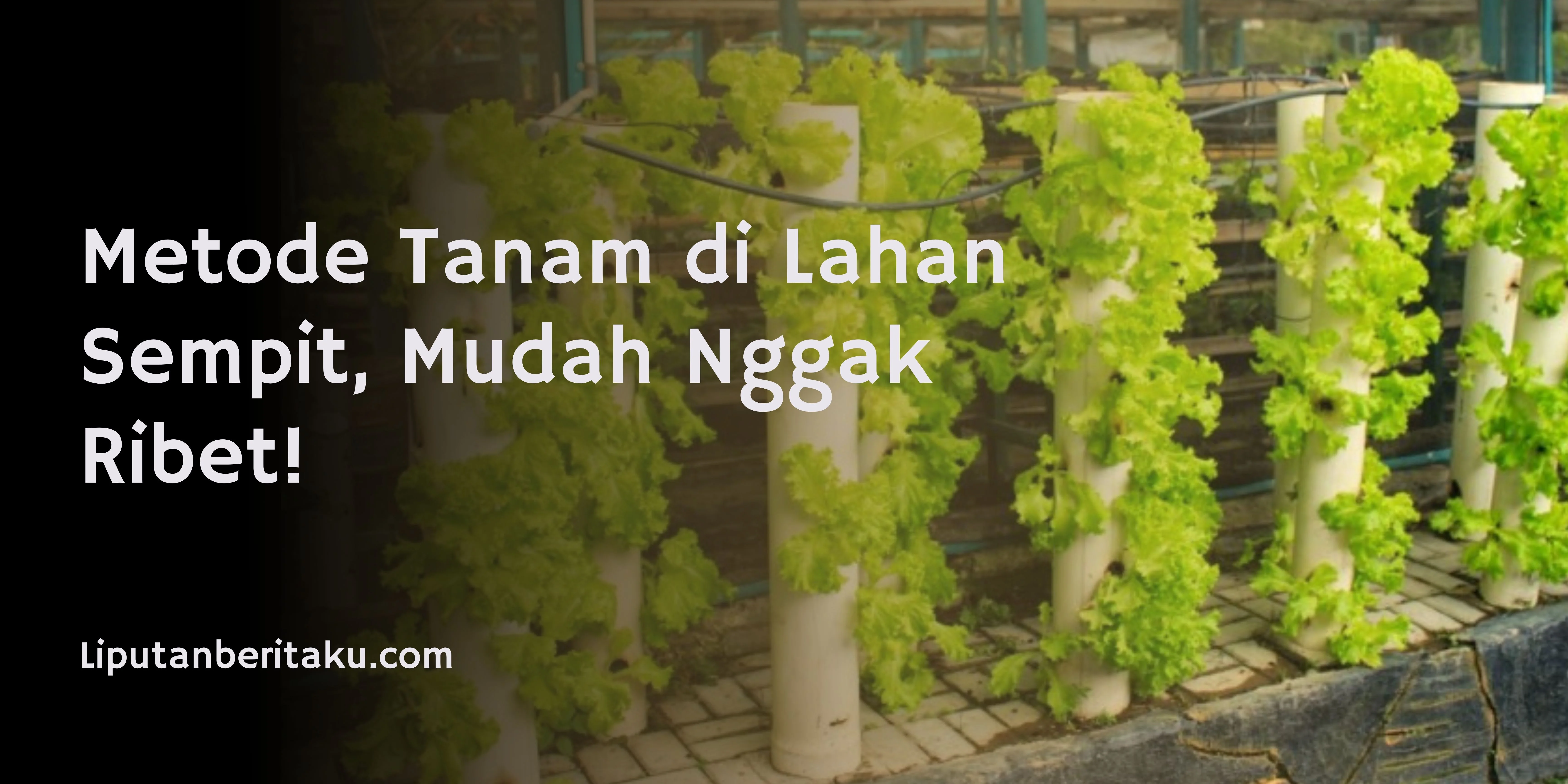 Metode Tanam di Lahan Sempit, Mudah Nggak Ribet!