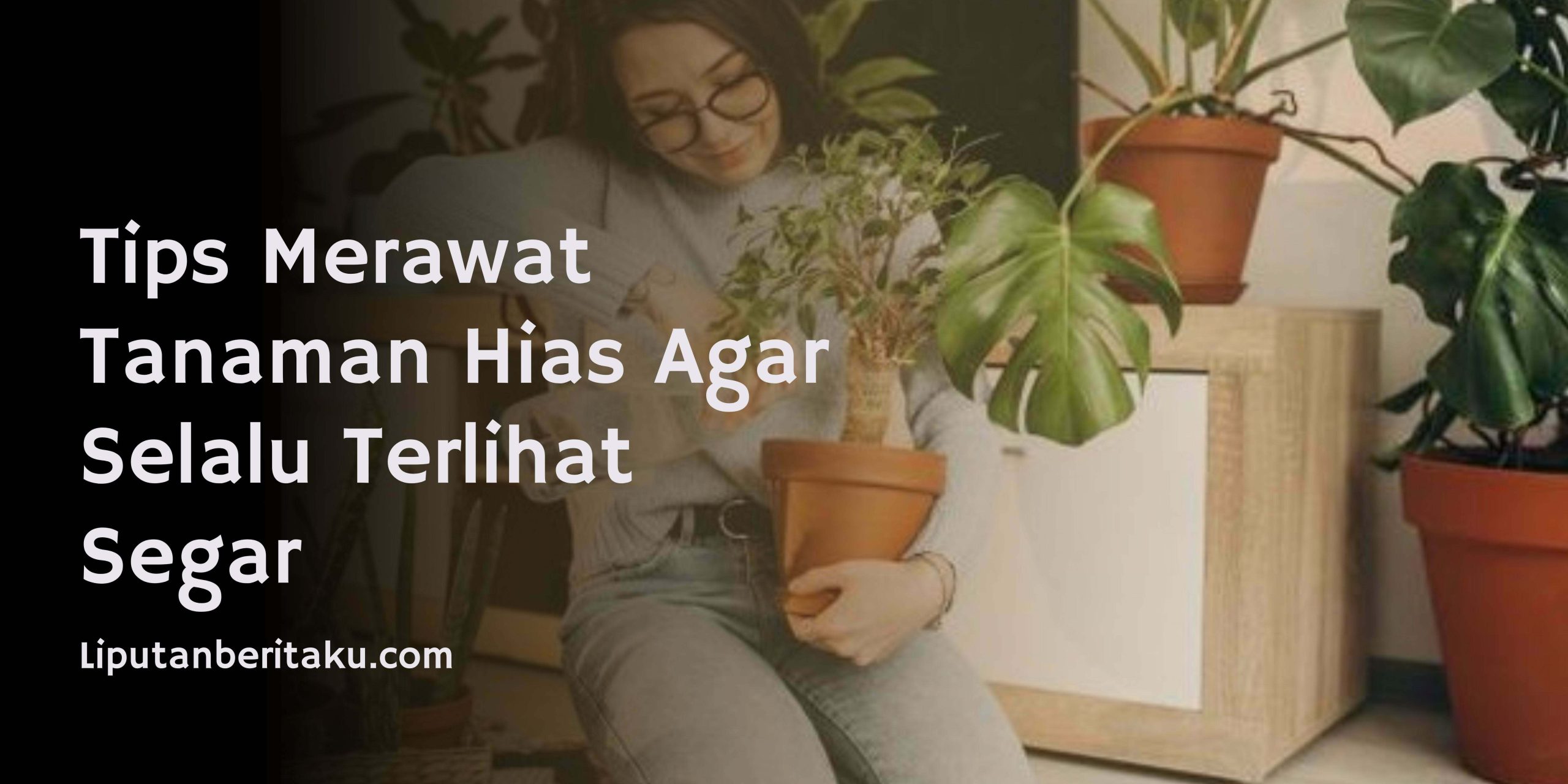Tips Merawat Tanaman Hias Agar Selalu Terlihat Segar