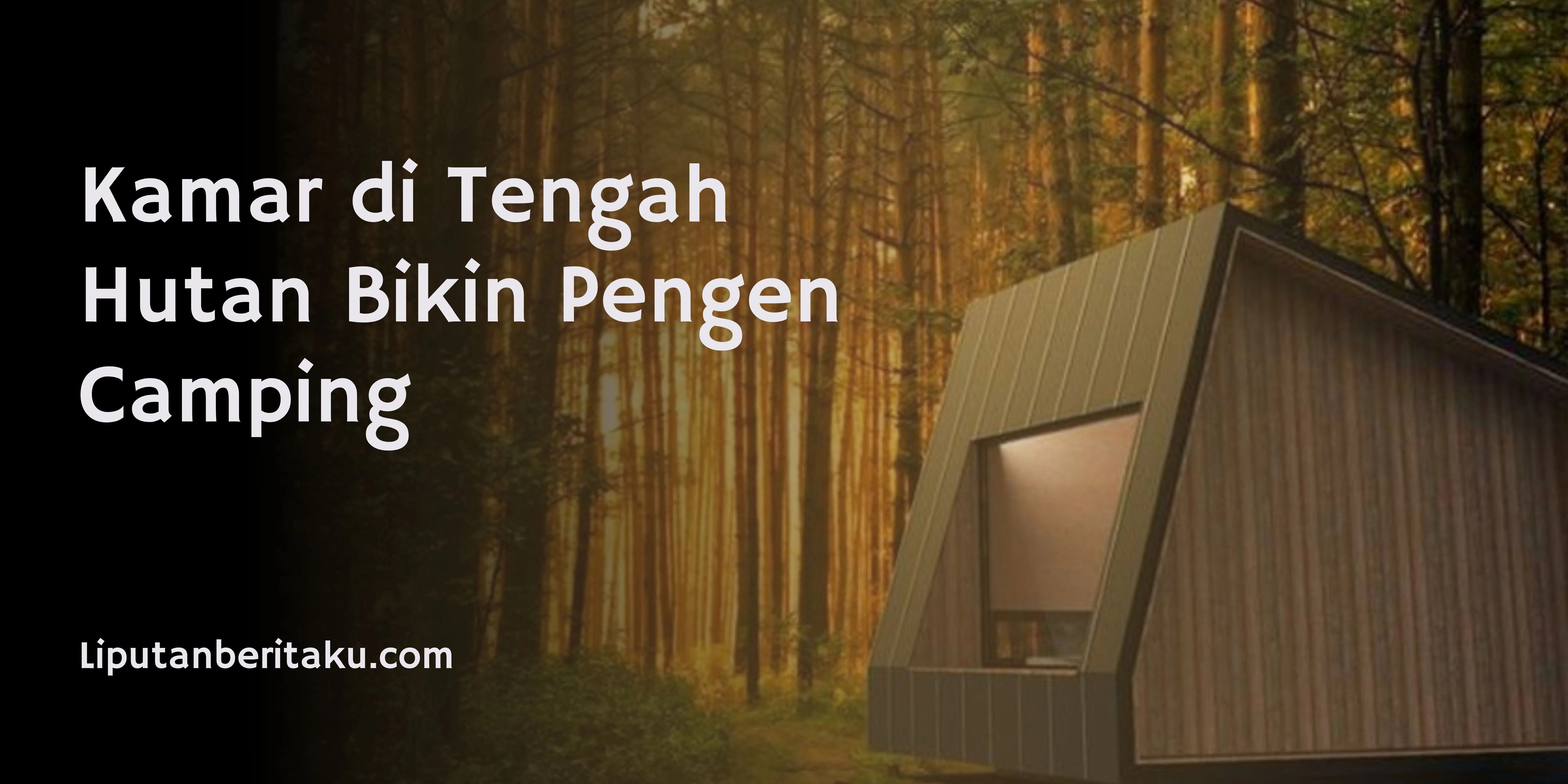 Kamar di Tengah Hutan Bikin Pengen Camping