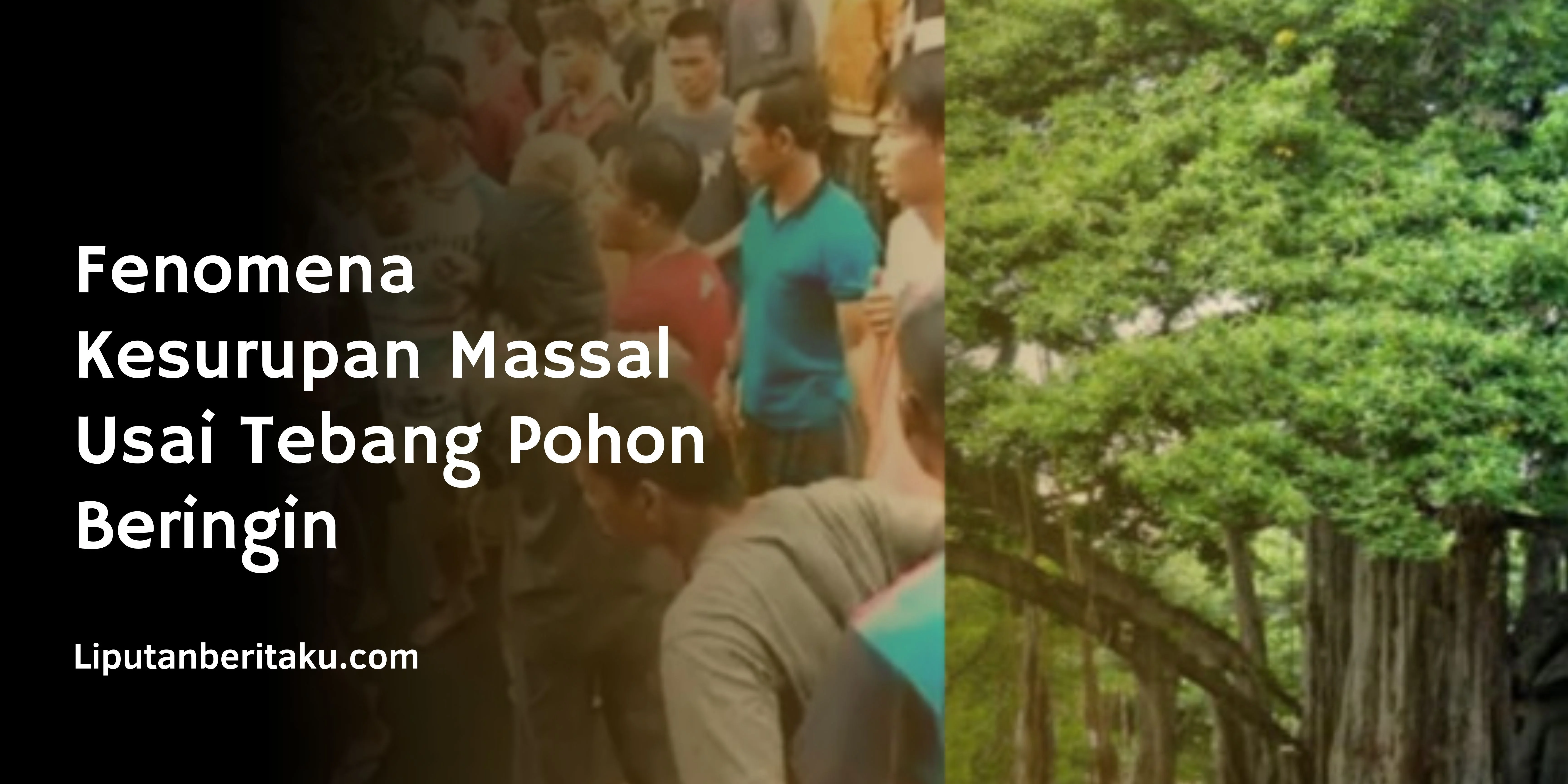 Fenomena Kesurupan Massal  Usai Tebang Pohon Beringin