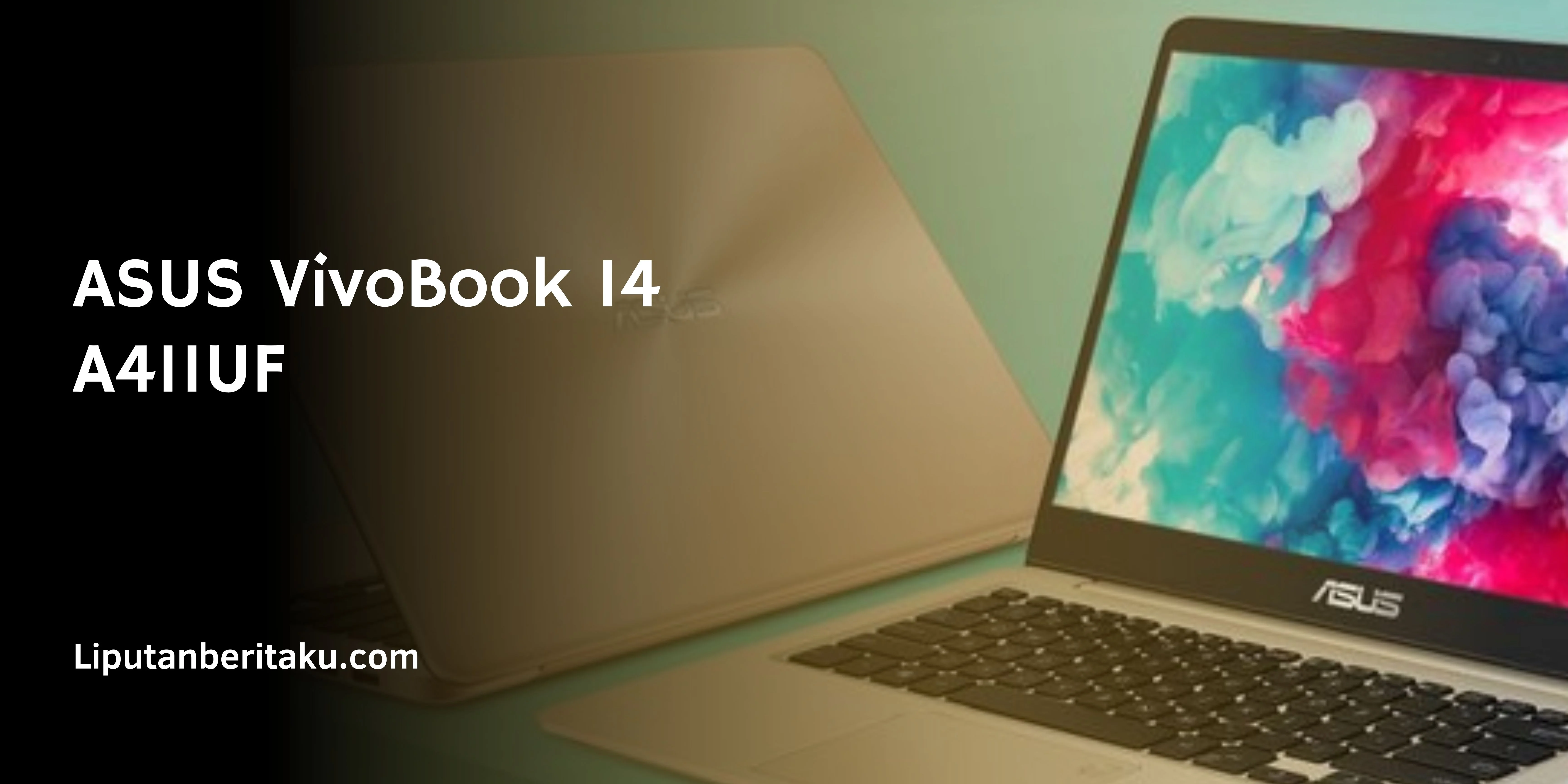 ASUS VivoBook 14 A411UF