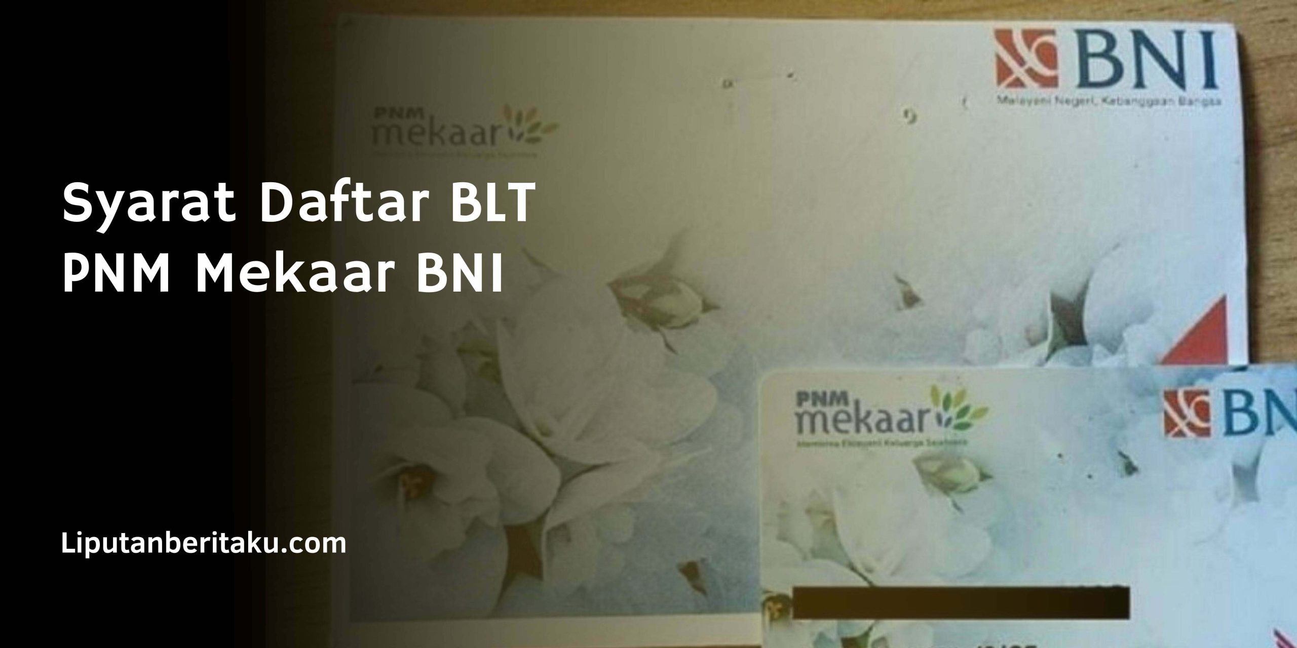 Syarat Daftar BLT PNM Mekaar BNI Syarat Daftar BLT PNM Mekaar BNI
