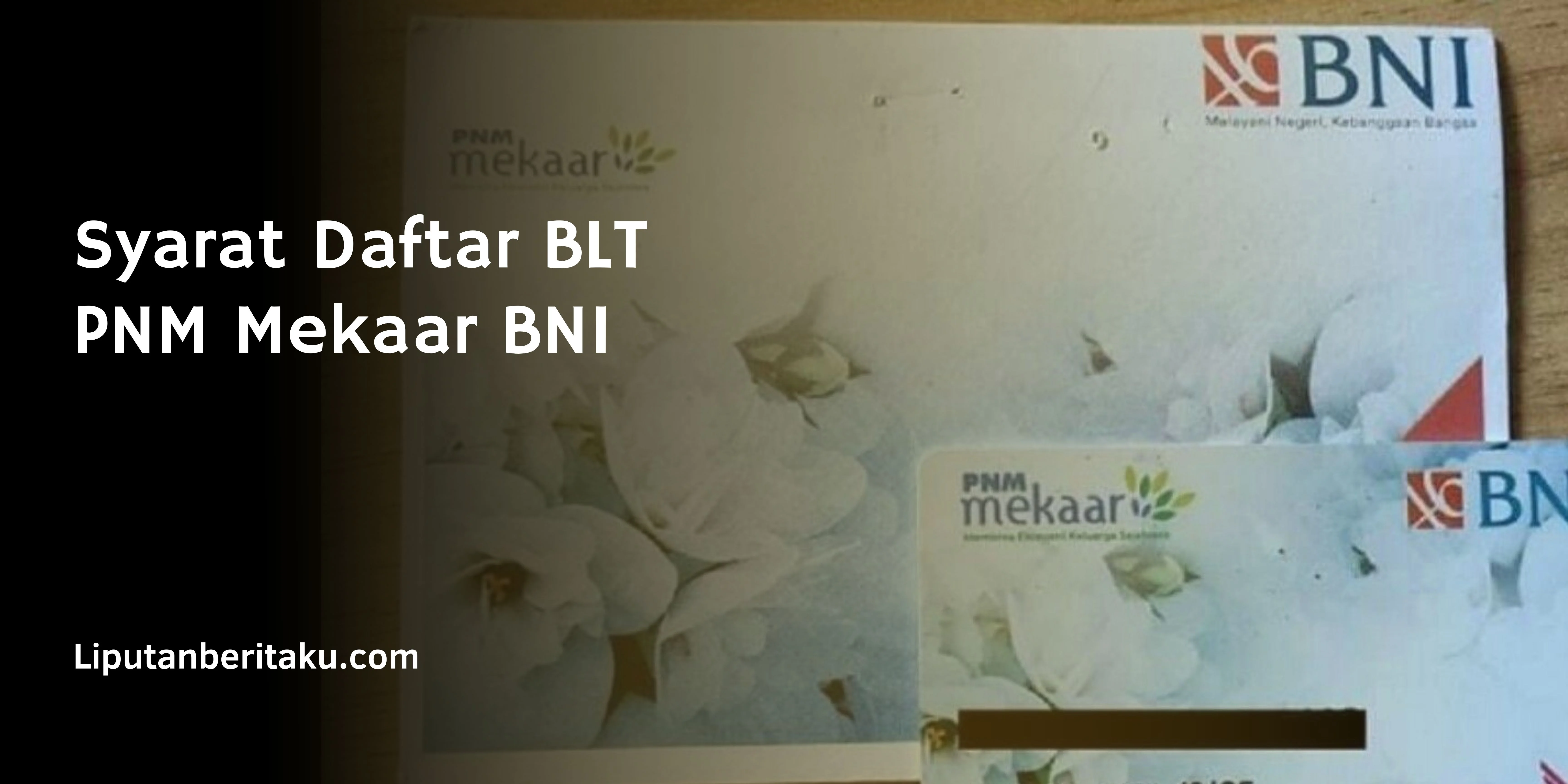 Syarat Daftar BLT PNM Mekaar BNI