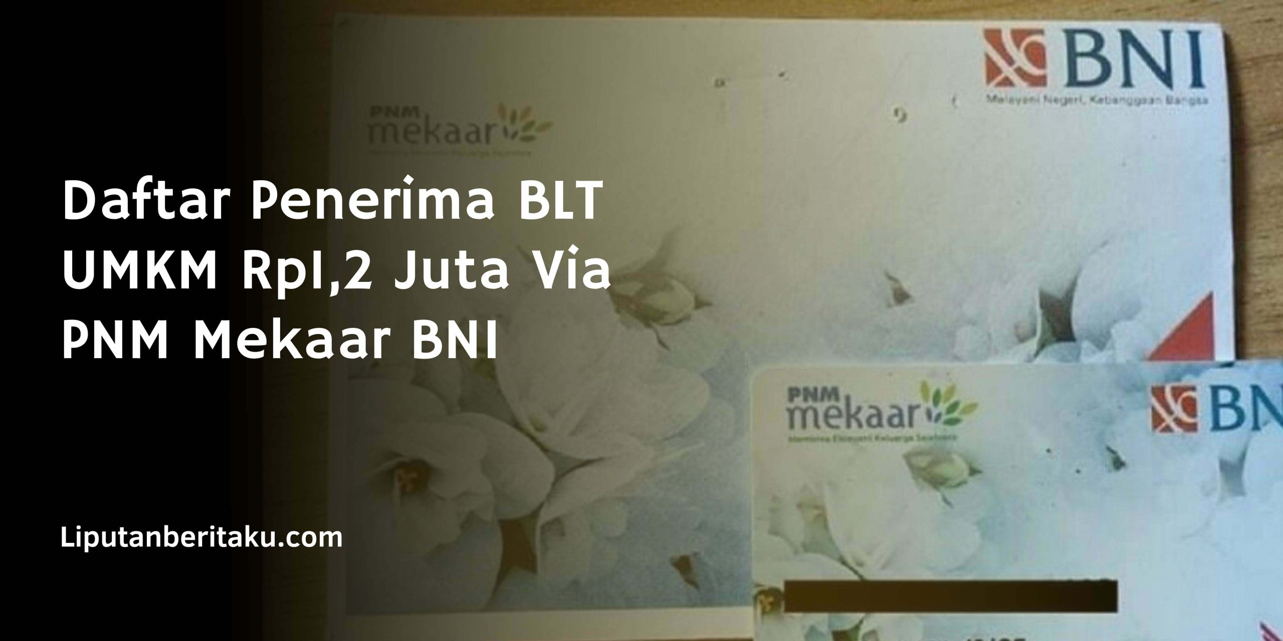 Daftar Penerima BLT UMKM Rp1,2 Juta Via PNM Mekaar BNI