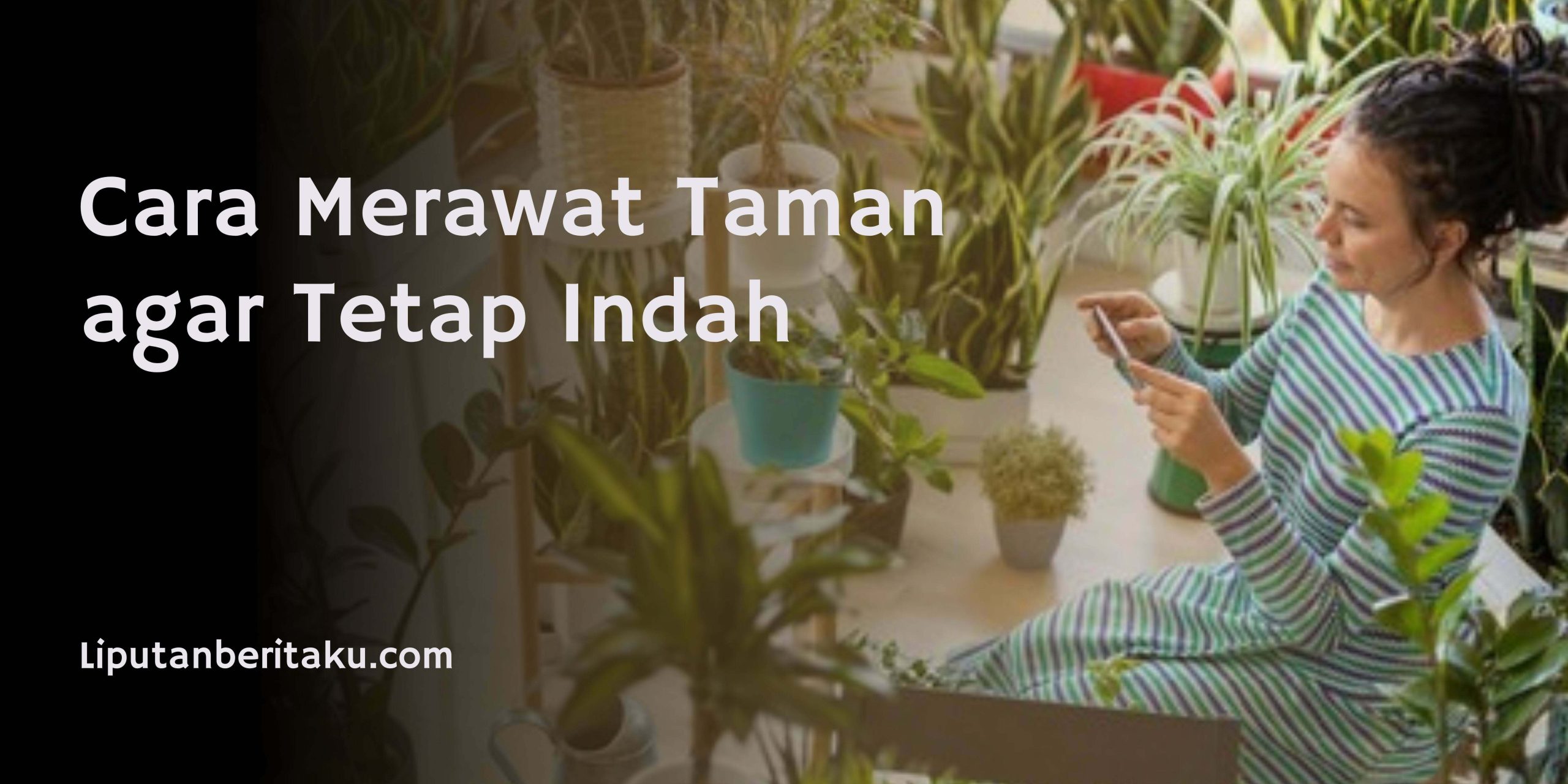 Cara Merawat Taman agar Tetap Indah