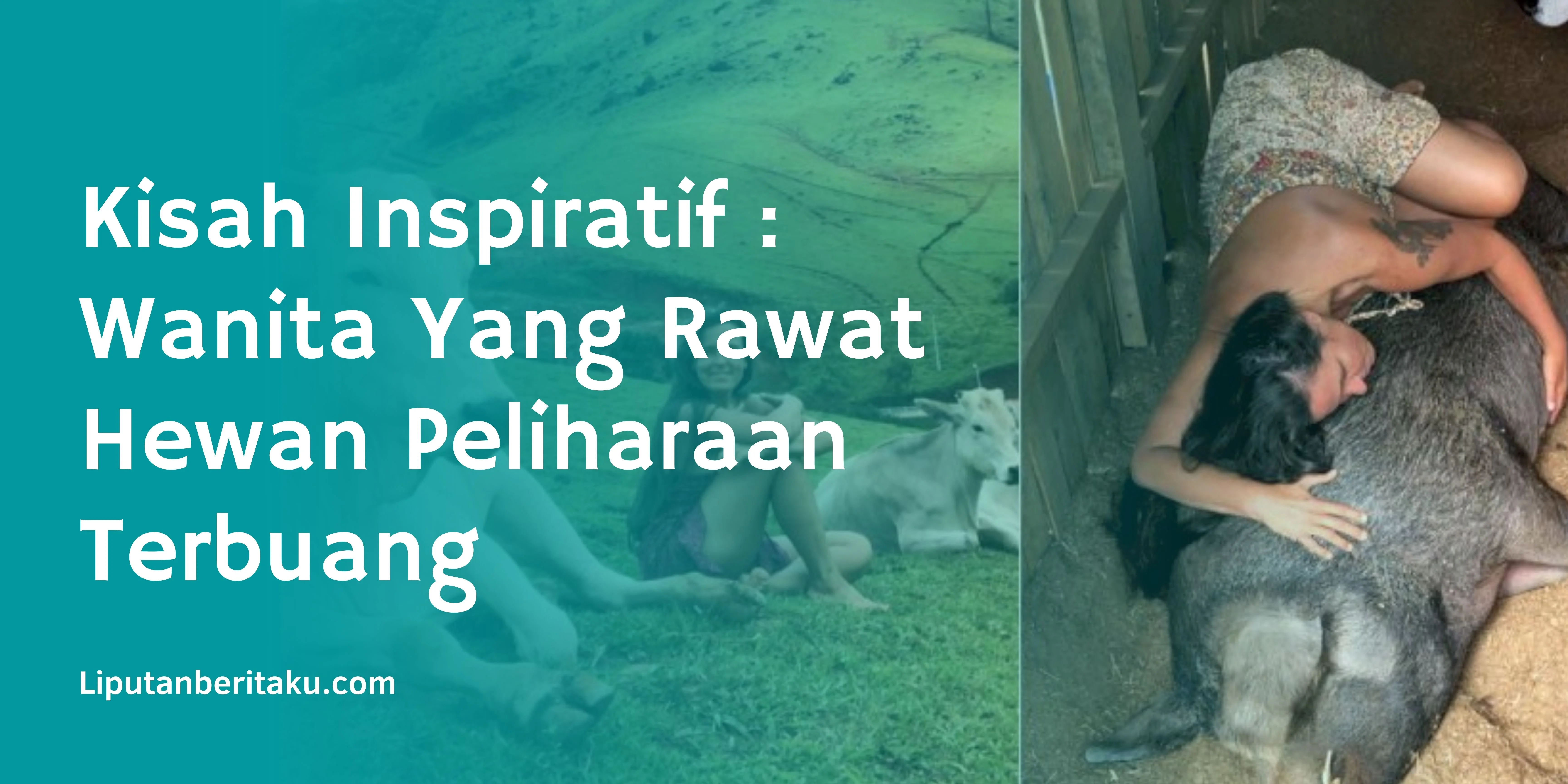 Kisah Inspiratif : Wanita Yang Rawat Hewan Peliharaan Terbuang