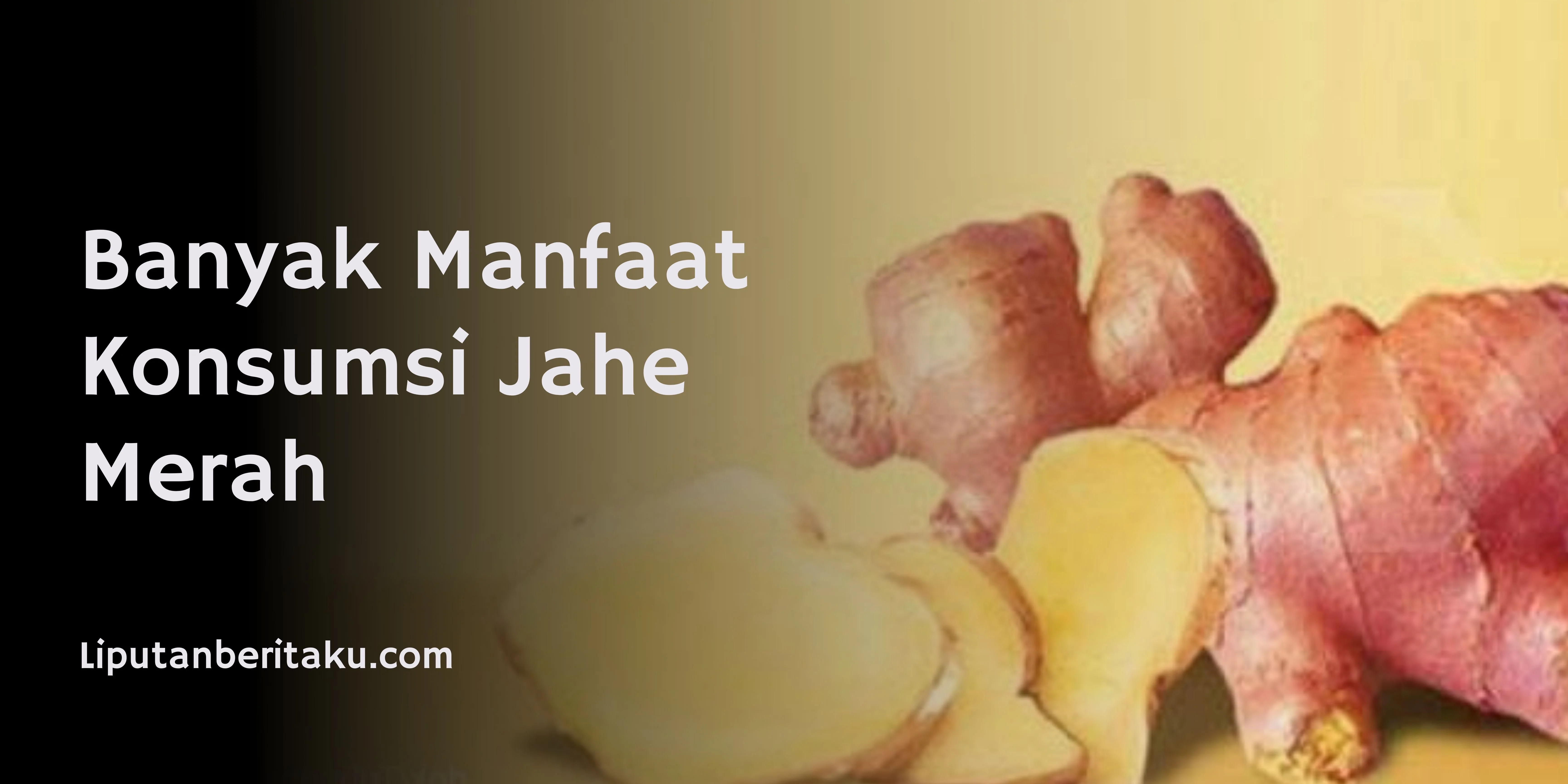 Banyak Manfaat Konsumsi Jahe Merah