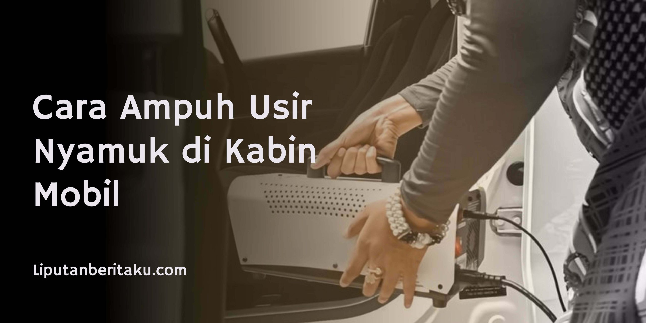 Cara Ampuh Usir Nyamuk di Kabin Mobil