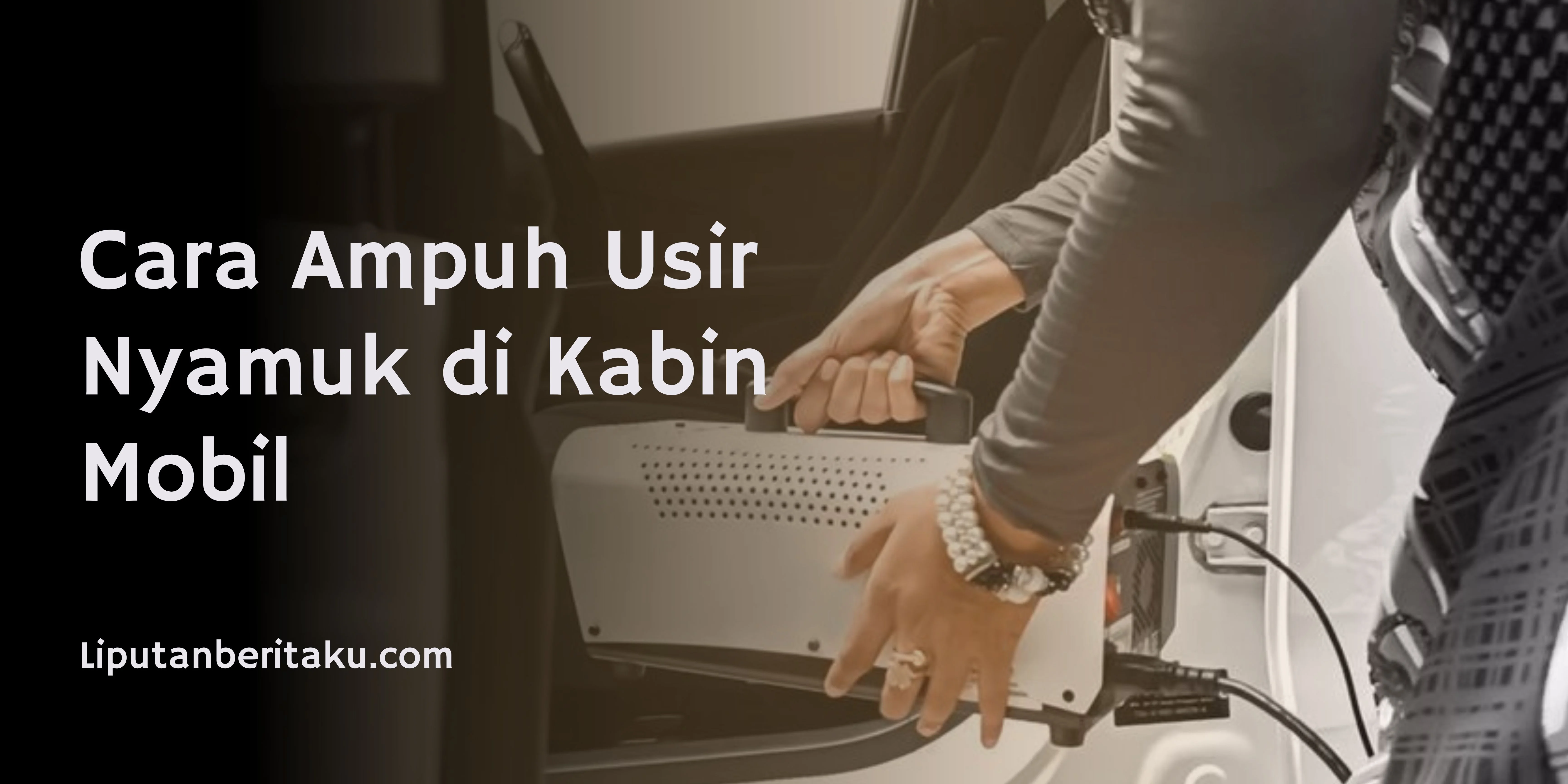Cara Ampuh Usir Nyamuk di Kabin Mobil