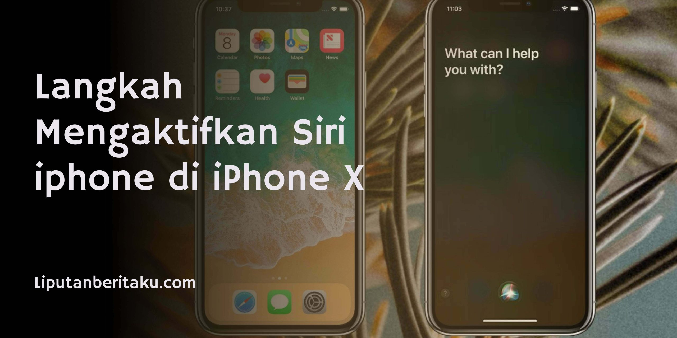 Langkah Mengaktifkan Siri iphone di iPhone X