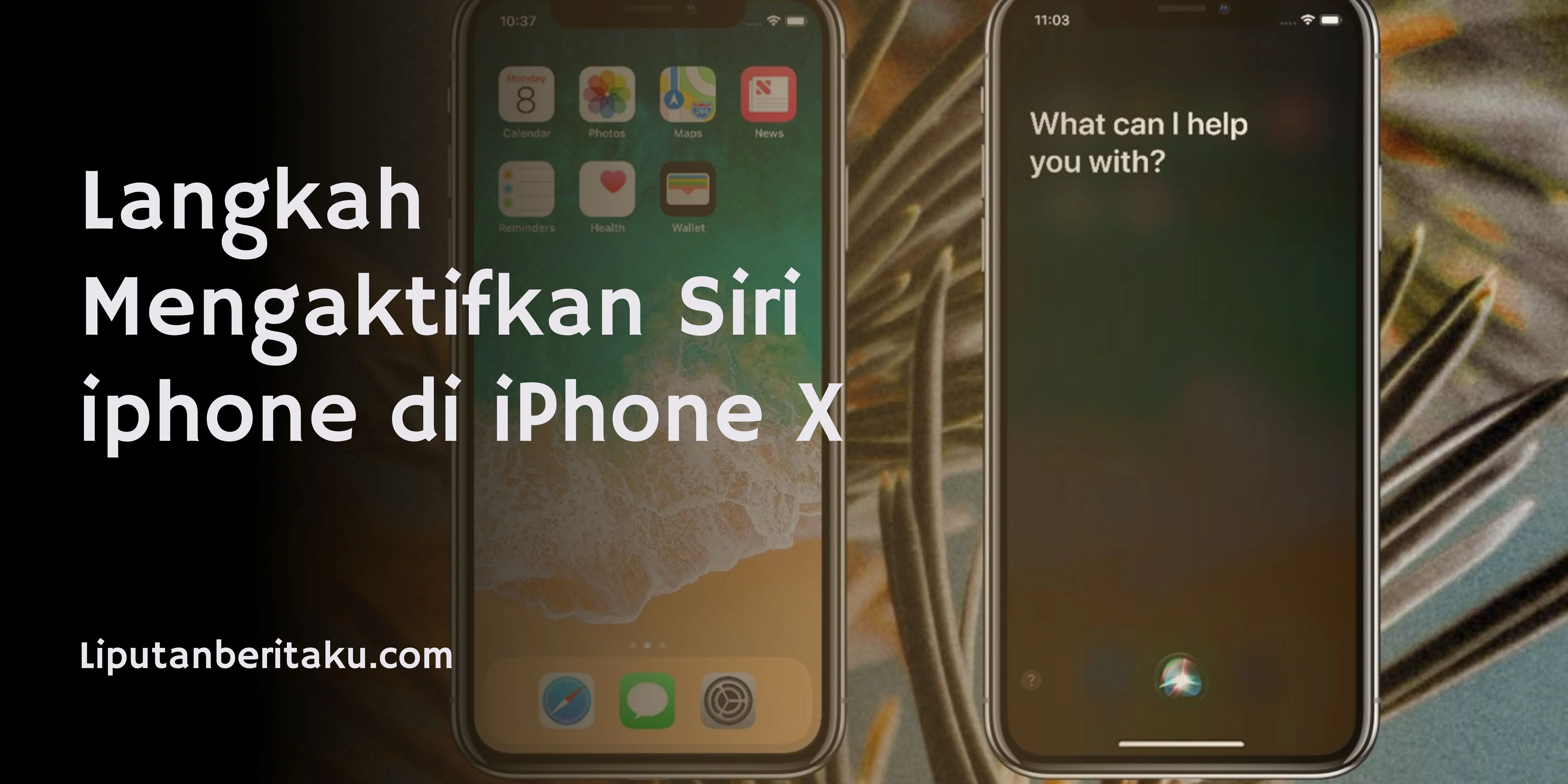 Langkah Mengaktifkan Siri iphone di iPhone X