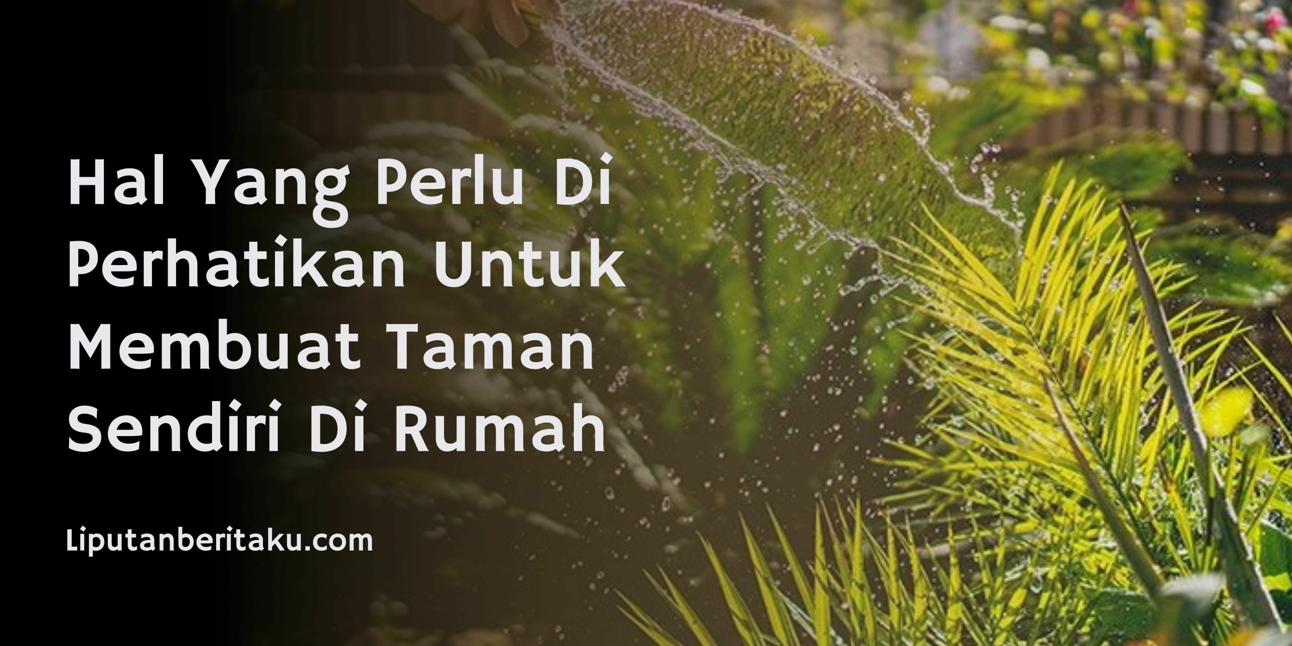Hal Yang Perlu Di Perhatikan Untuk Membuat Taman Sendiri Di Rumah