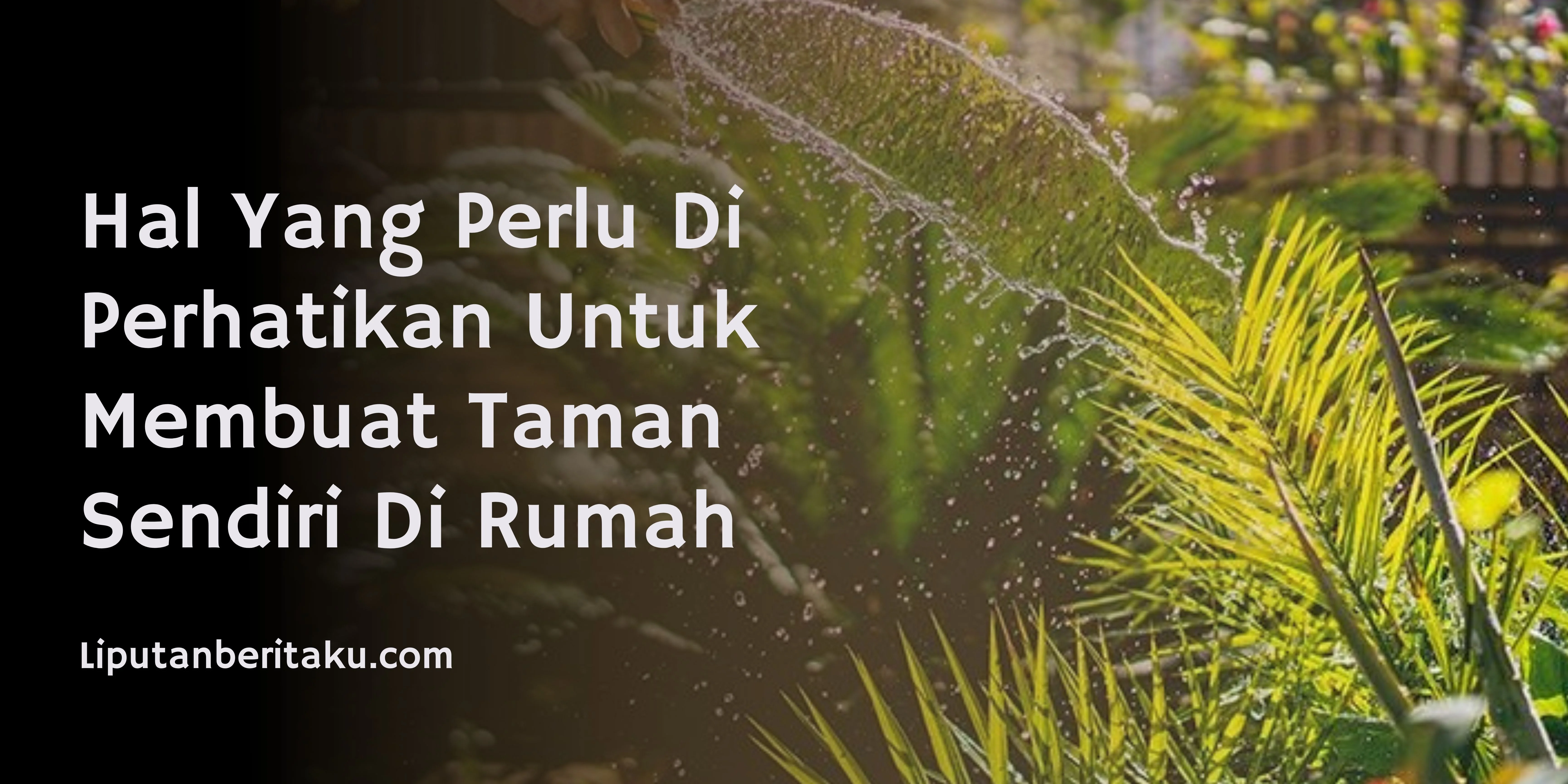 Hal Yang Perlu Di Perhatikan Untuk Membuat Taman Sendiri Di Rumah
