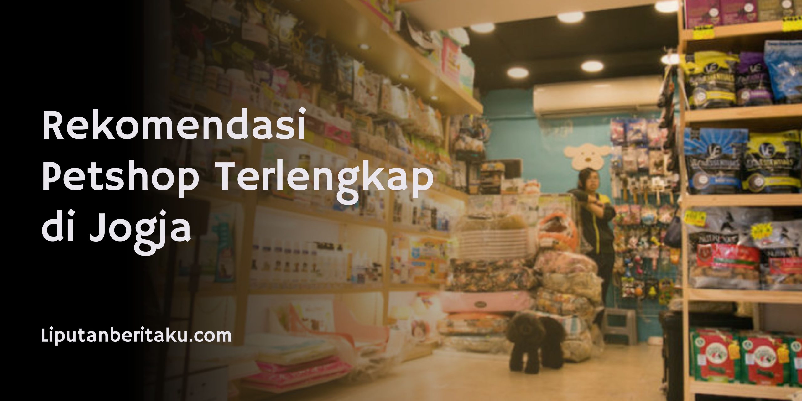 Rekomendasi Petshop Terlengkap di Jogja
