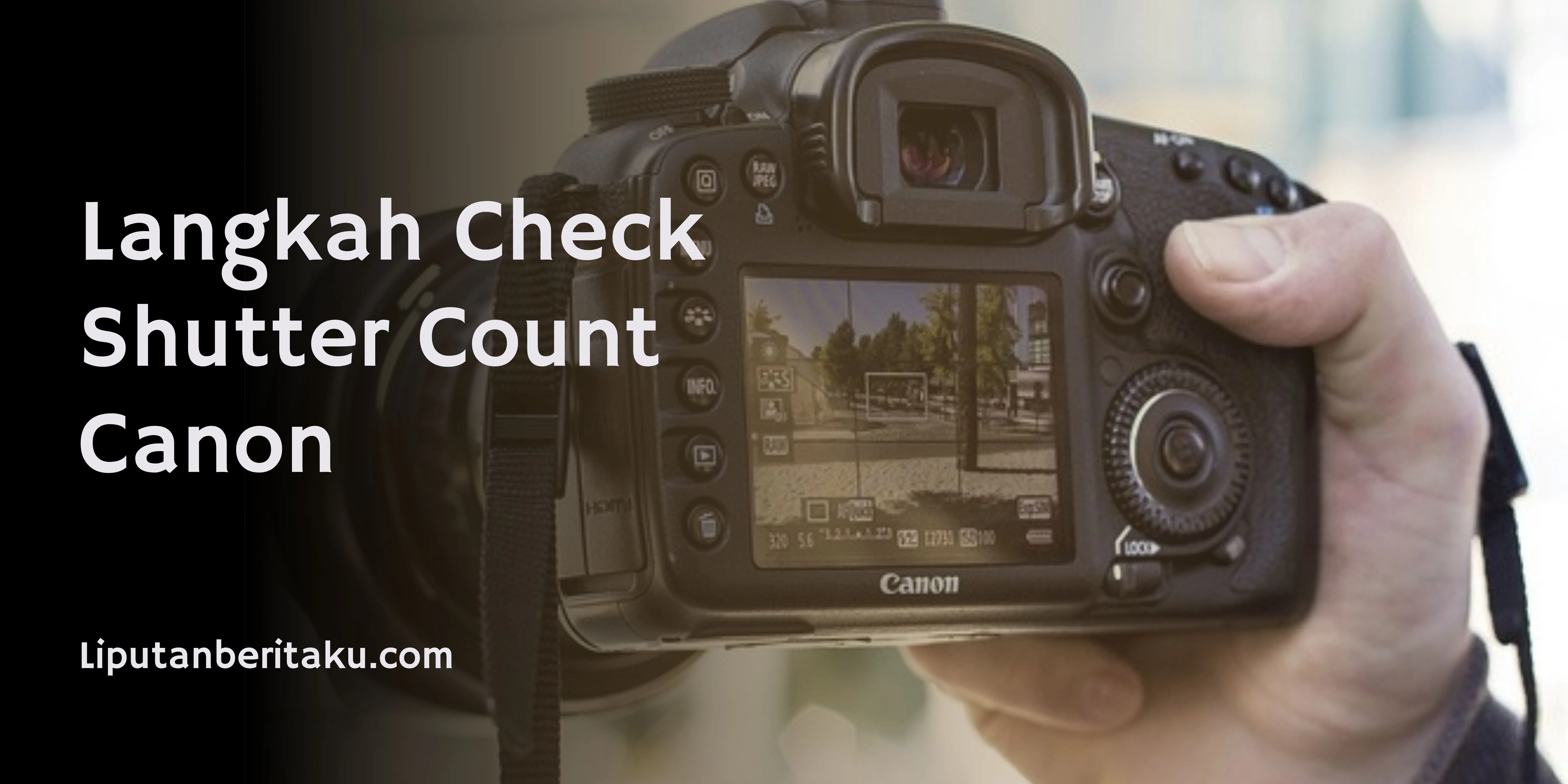 Langkah Check Shutter Count Canon