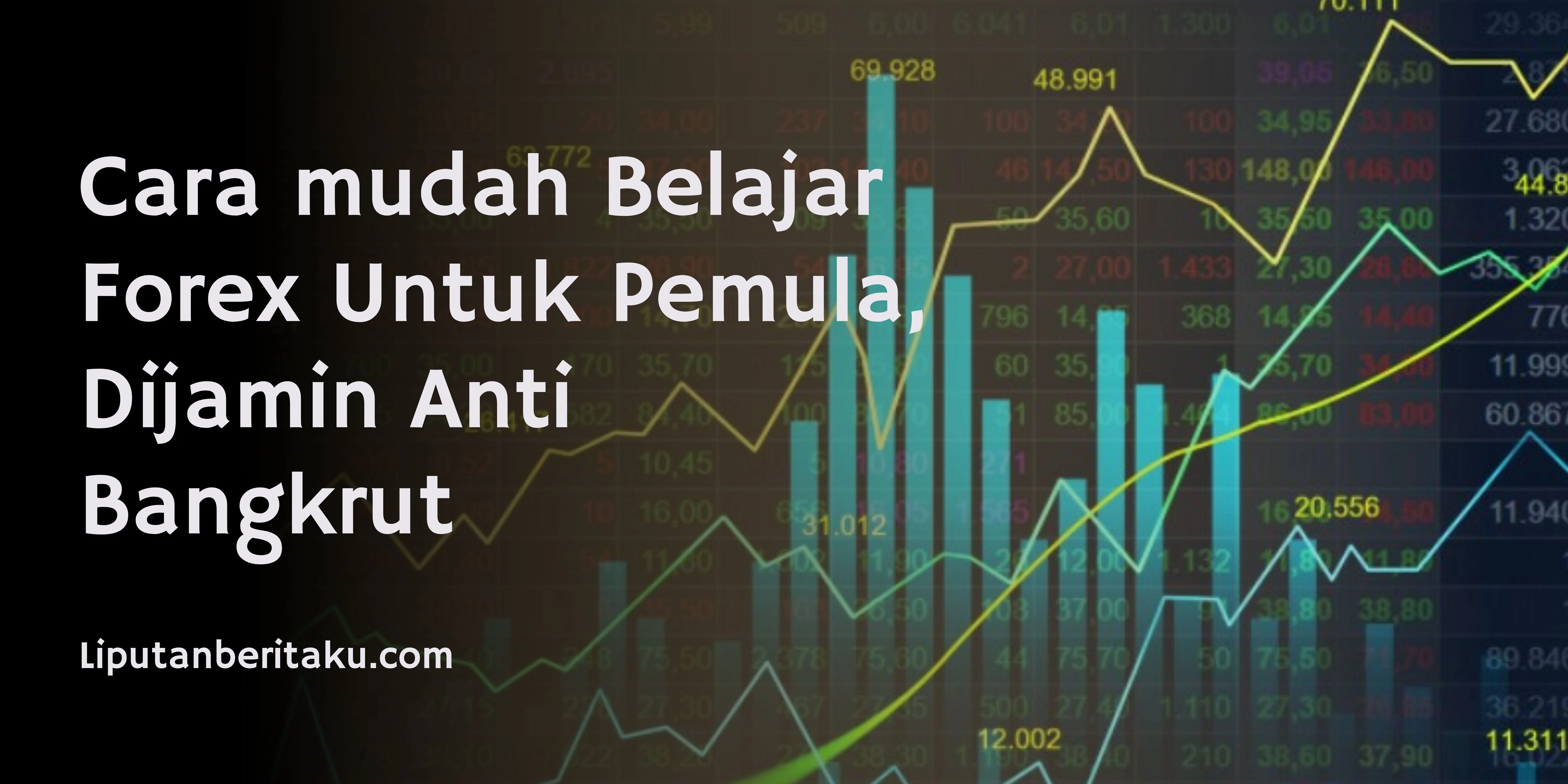 Cara mudah Belajar Forex Untuk Pemula, Dijamin Anti Bangkrut