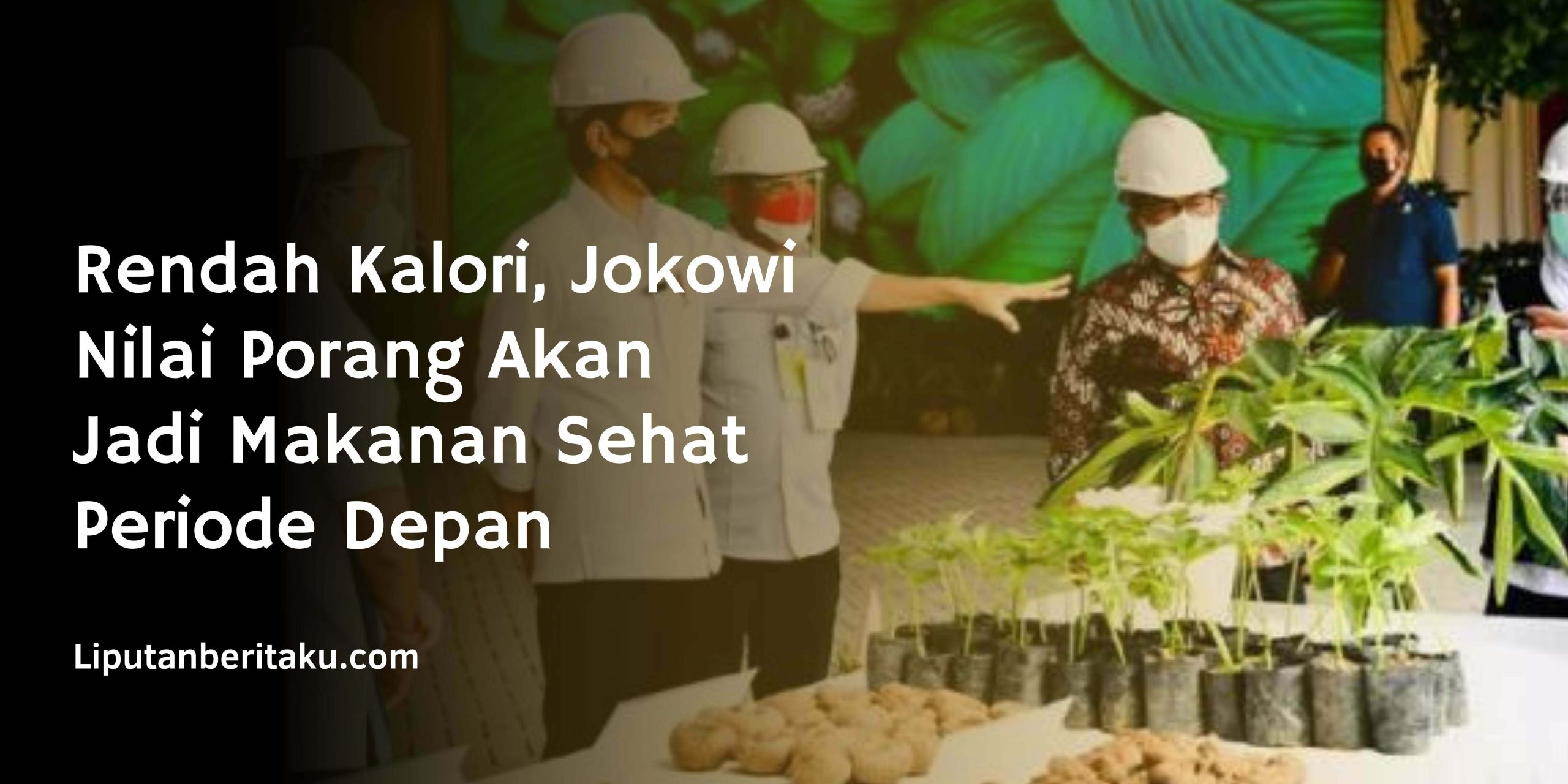 Rendah Kalori, Jokowi Nilai Porang Akan Jadi Makanan Sehat Periode Depan