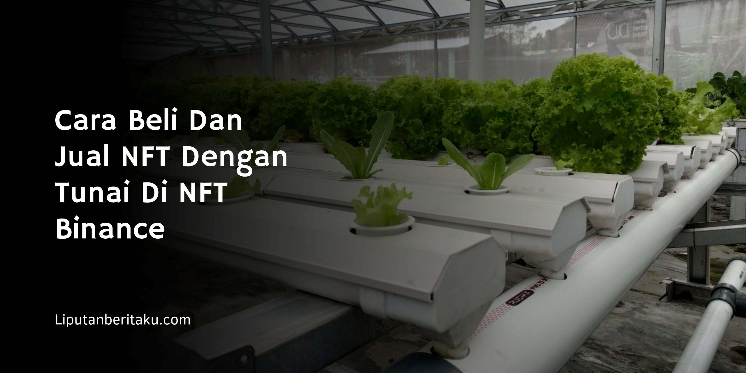 Gardening Tips : Membuat Hidroponik NFT Gardening Tips : Membuat Hidroponik NFT
