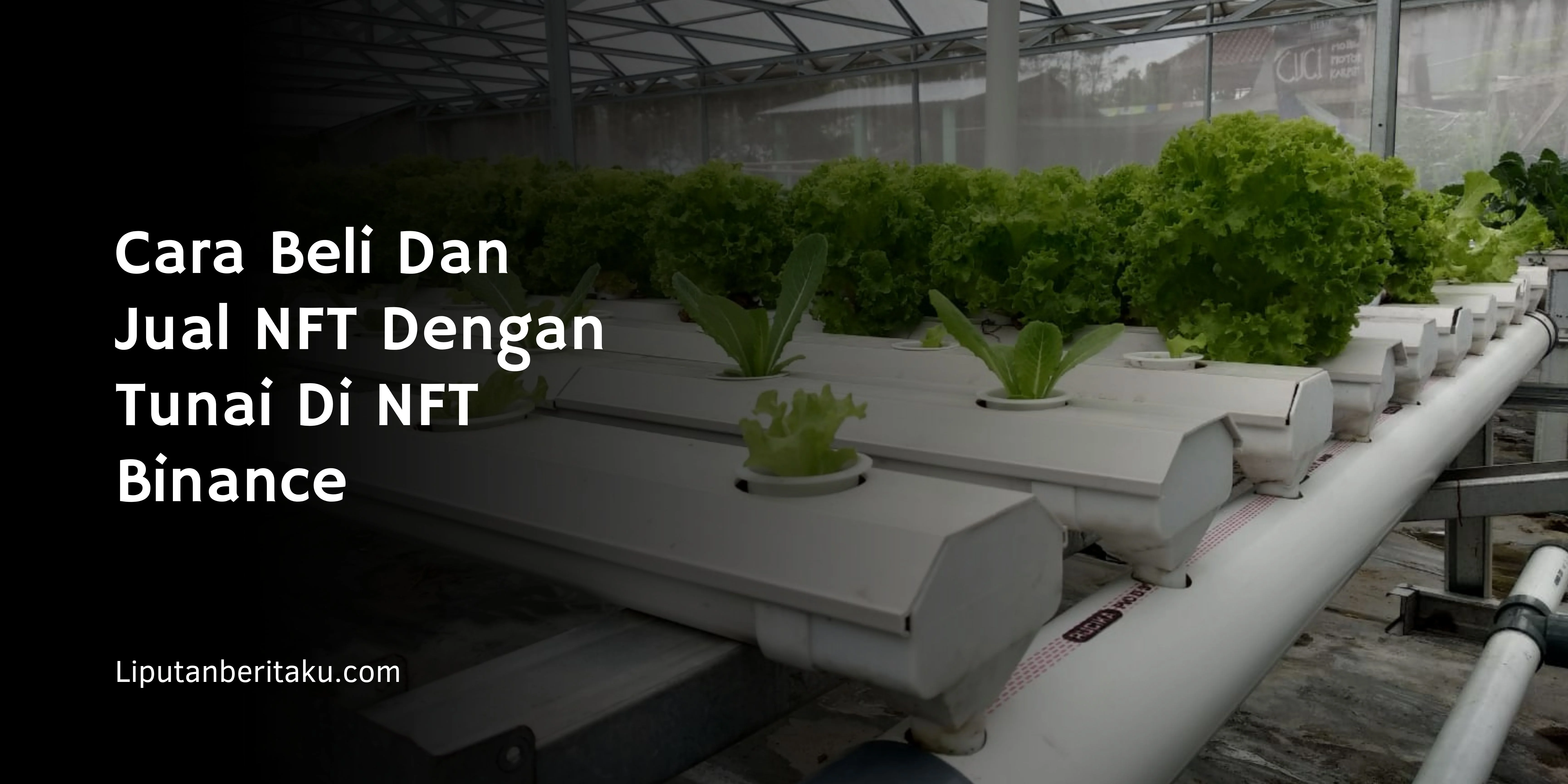 Gardening Tips : Membuat Hidroponik NFT