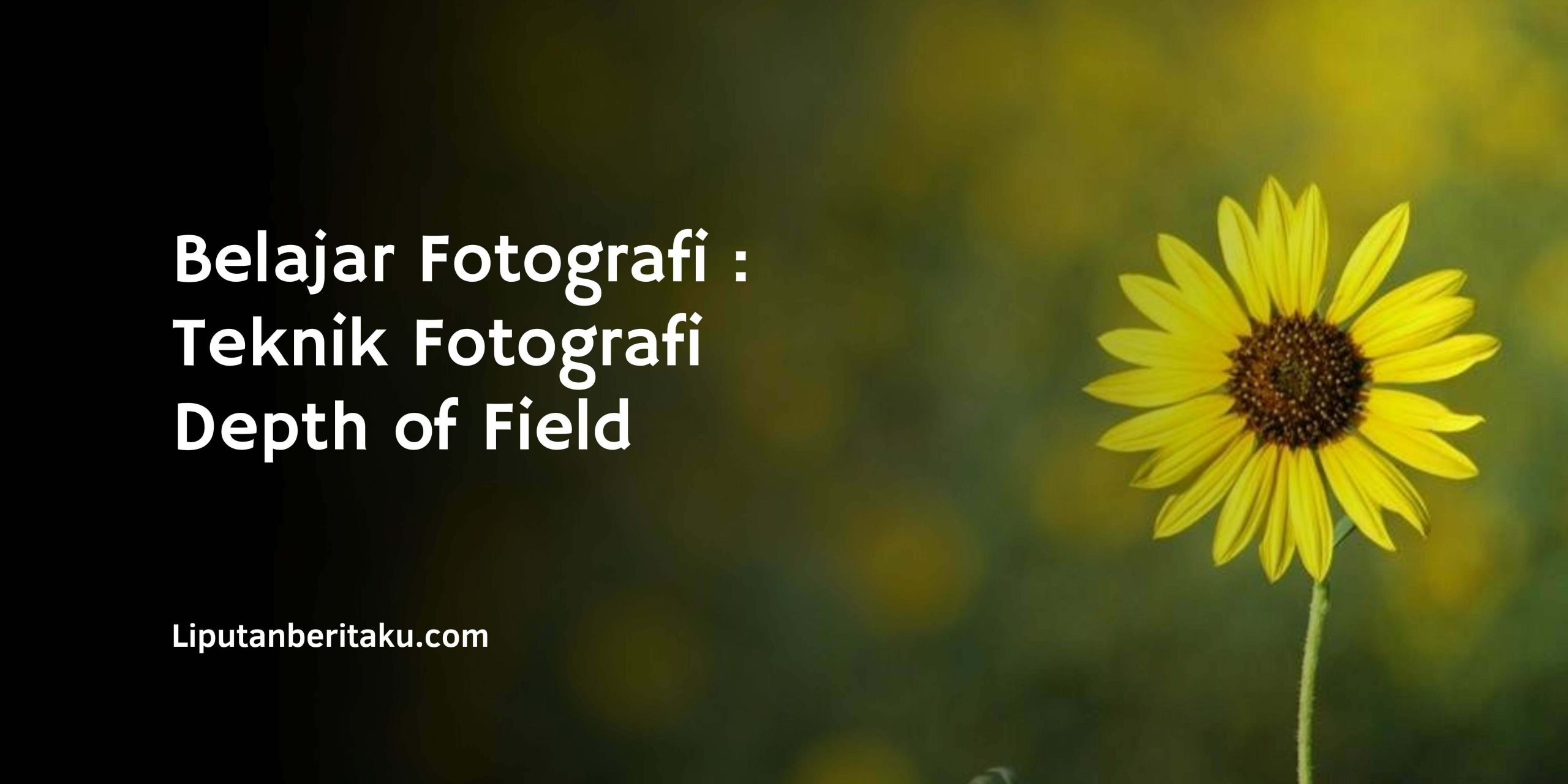 Belajar Fotografi : Teknik Fotografi Depth of Field