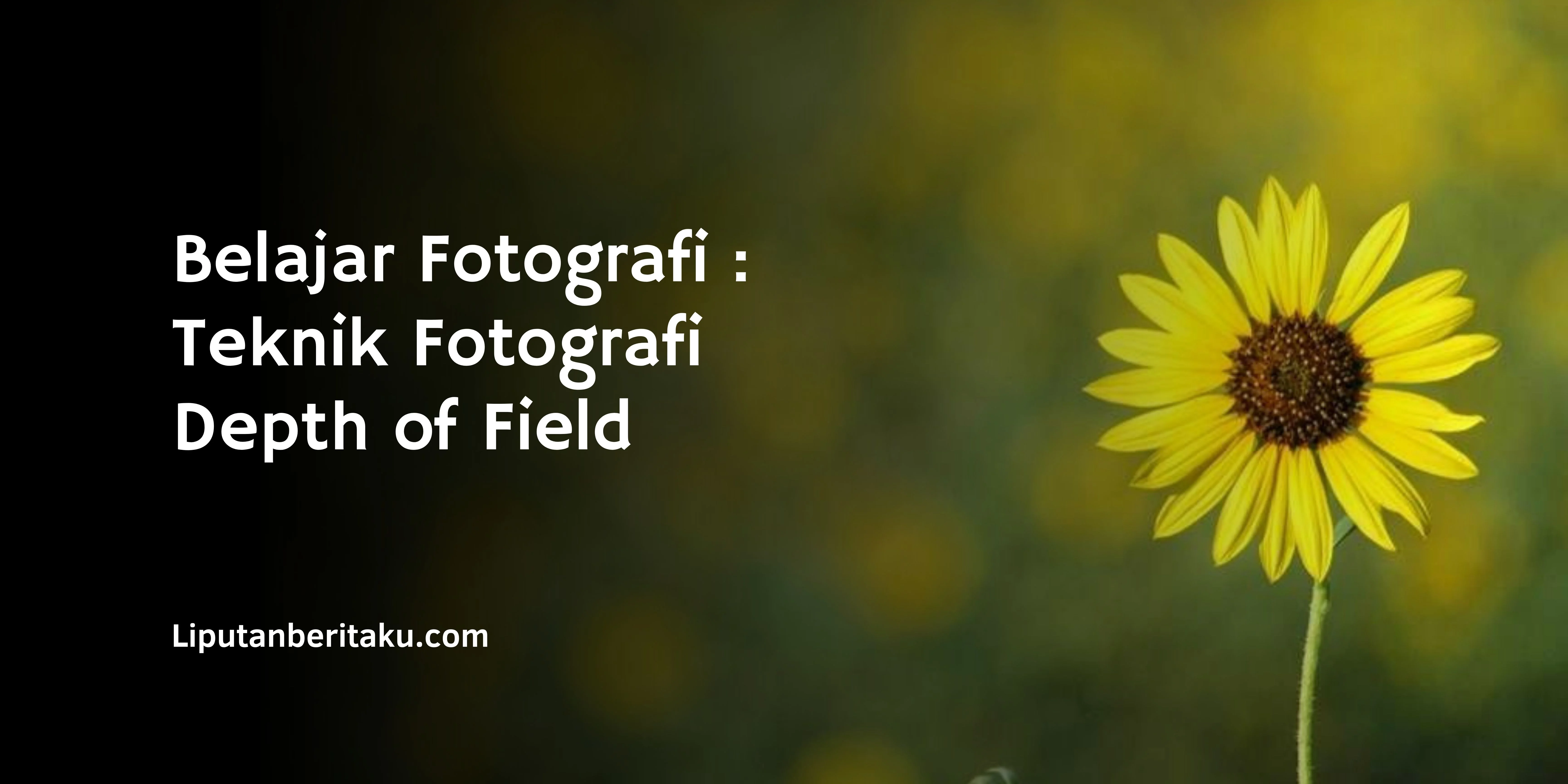 Belajar Fotografi : Teknik Fotografi Depth of Field