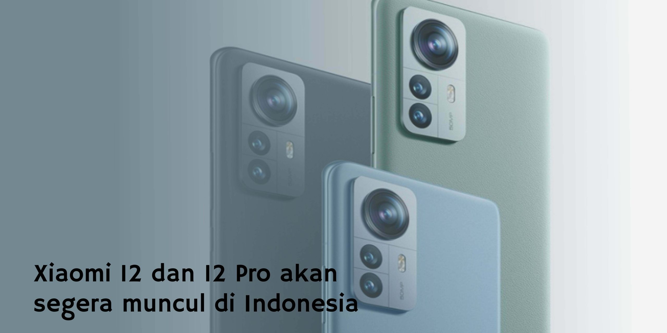 Xiaomi 12 dan 12 Pro akan segera muncul di Indonesia